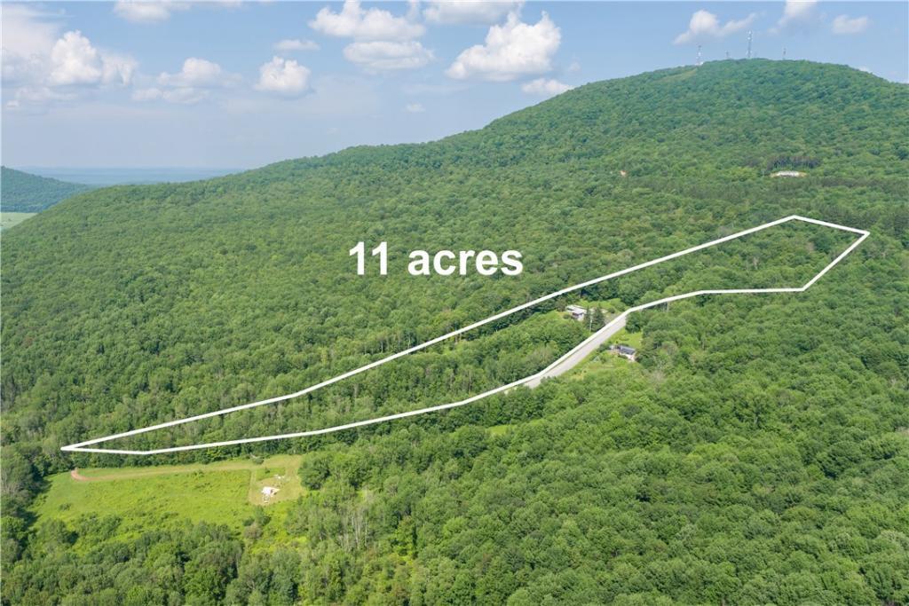 2046 Tower Mountain Road, Stamford, New York, 12167, United States, 3 Bedrooms Bedrooms, ,3 BathroomsBathrooms,Residential,For Sale,2046 Tower Mountain Road,1523402