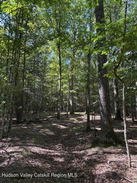 Hurley, New York, 12443, United States, ,Residential,For Sale,1940966