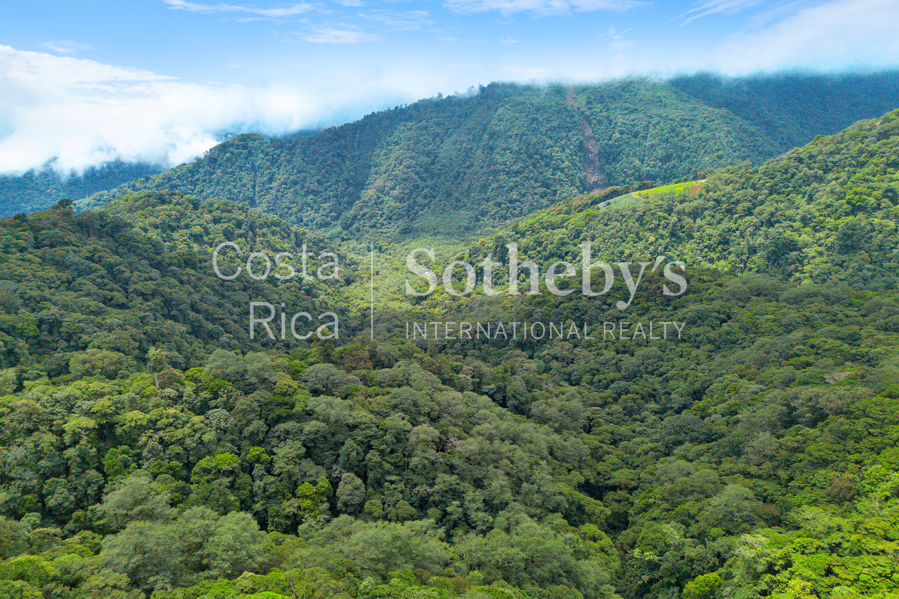  Centro Científico para la Conservación Bosque de Paz - 物件實景
