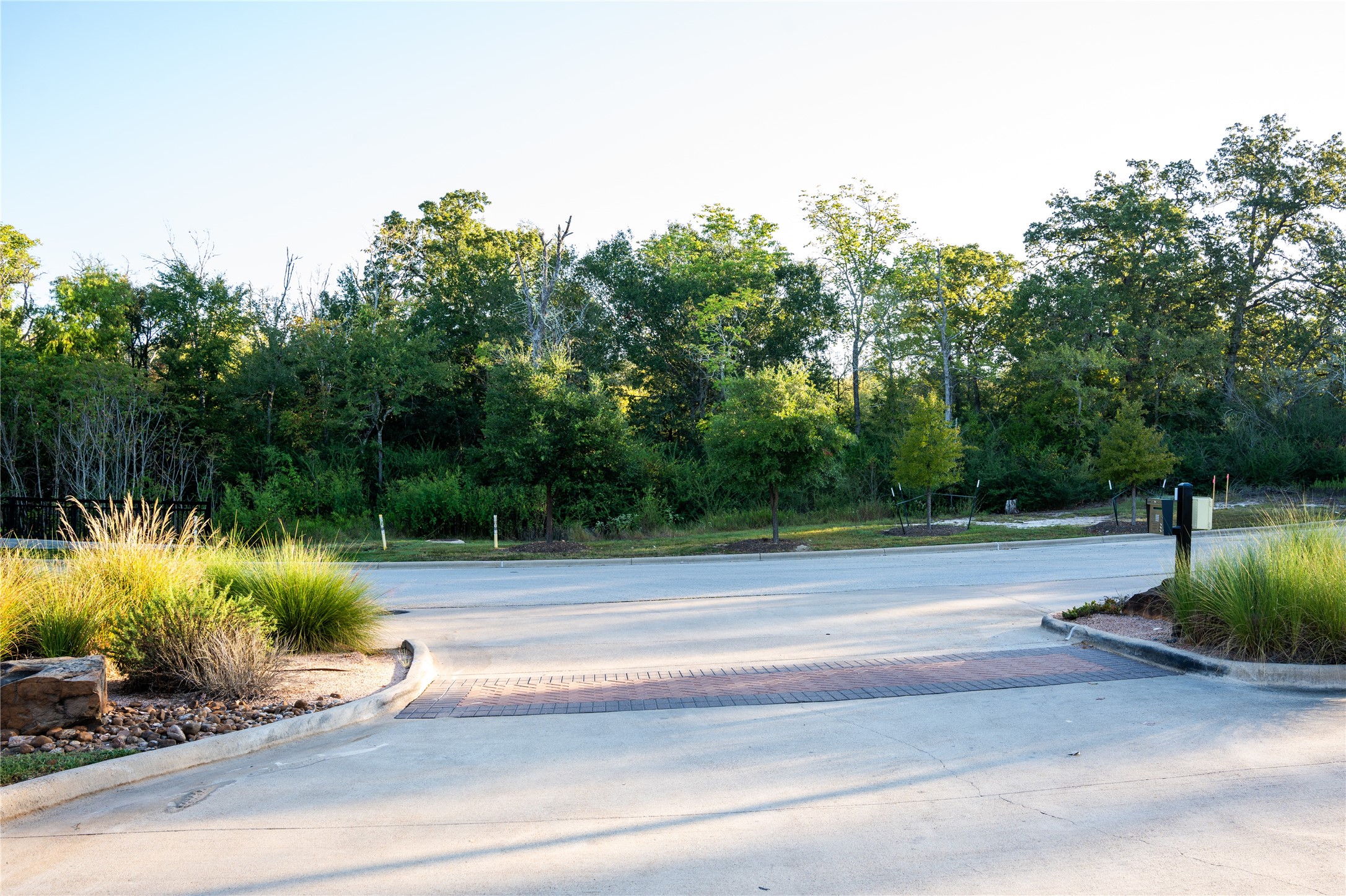 Bryan, Texas, 77807, United States, ,Land,For Sale,1938533