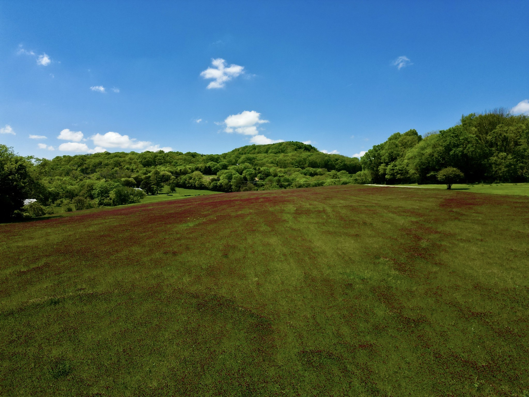  9591 Clovercroft Rd Lot 2, Franklin, TN, 37067 - 物件實景