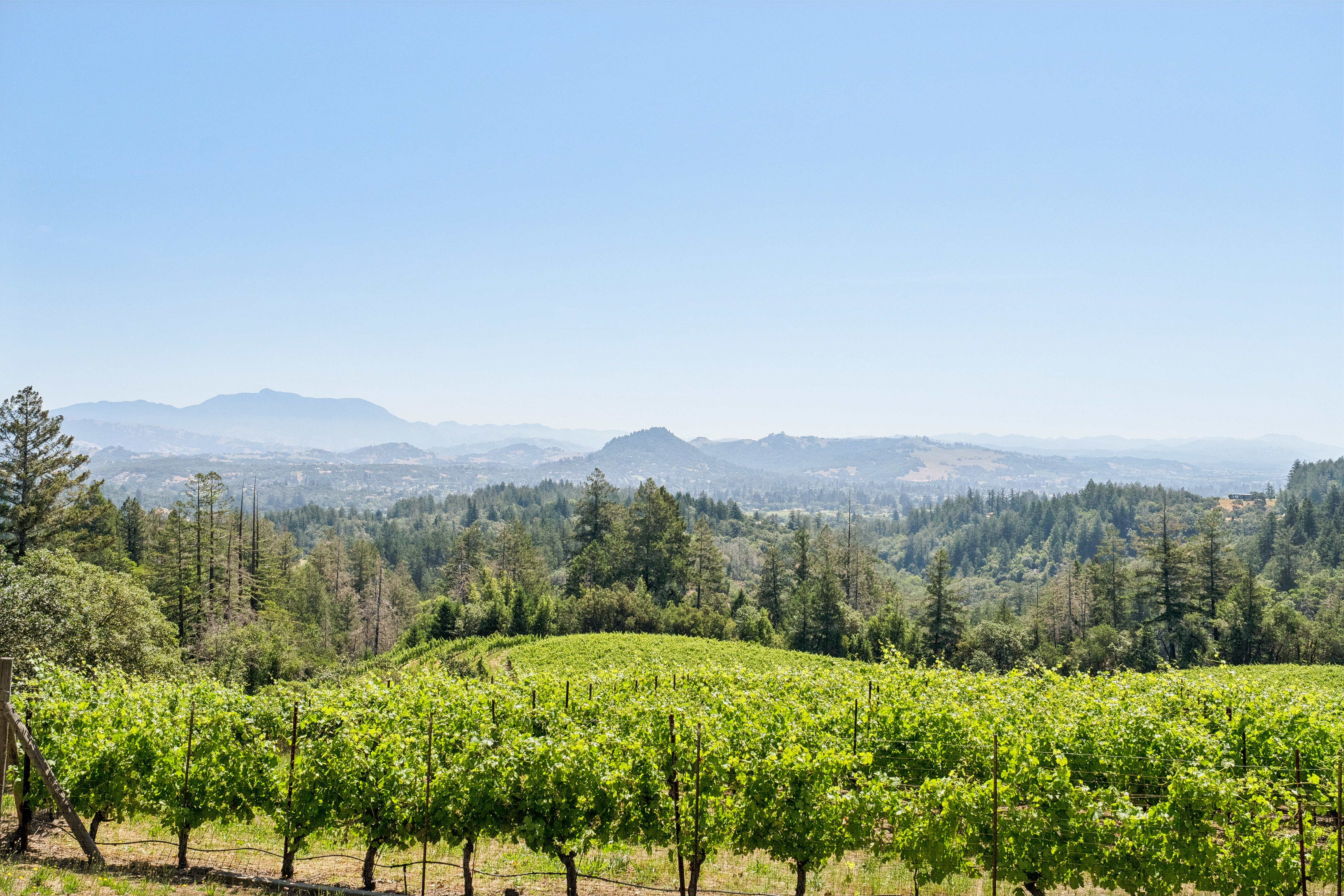  2355 West Dry Creek Road, Healdsburg, CA 95448 - 物件實景