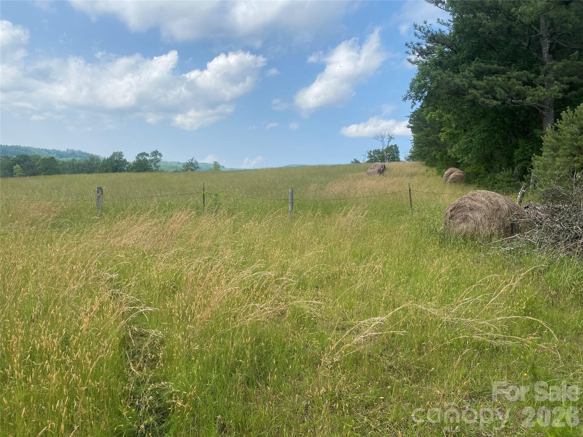 Hendersonville, North Carolina, 28792, United States, ,Land,For Sale,2010421