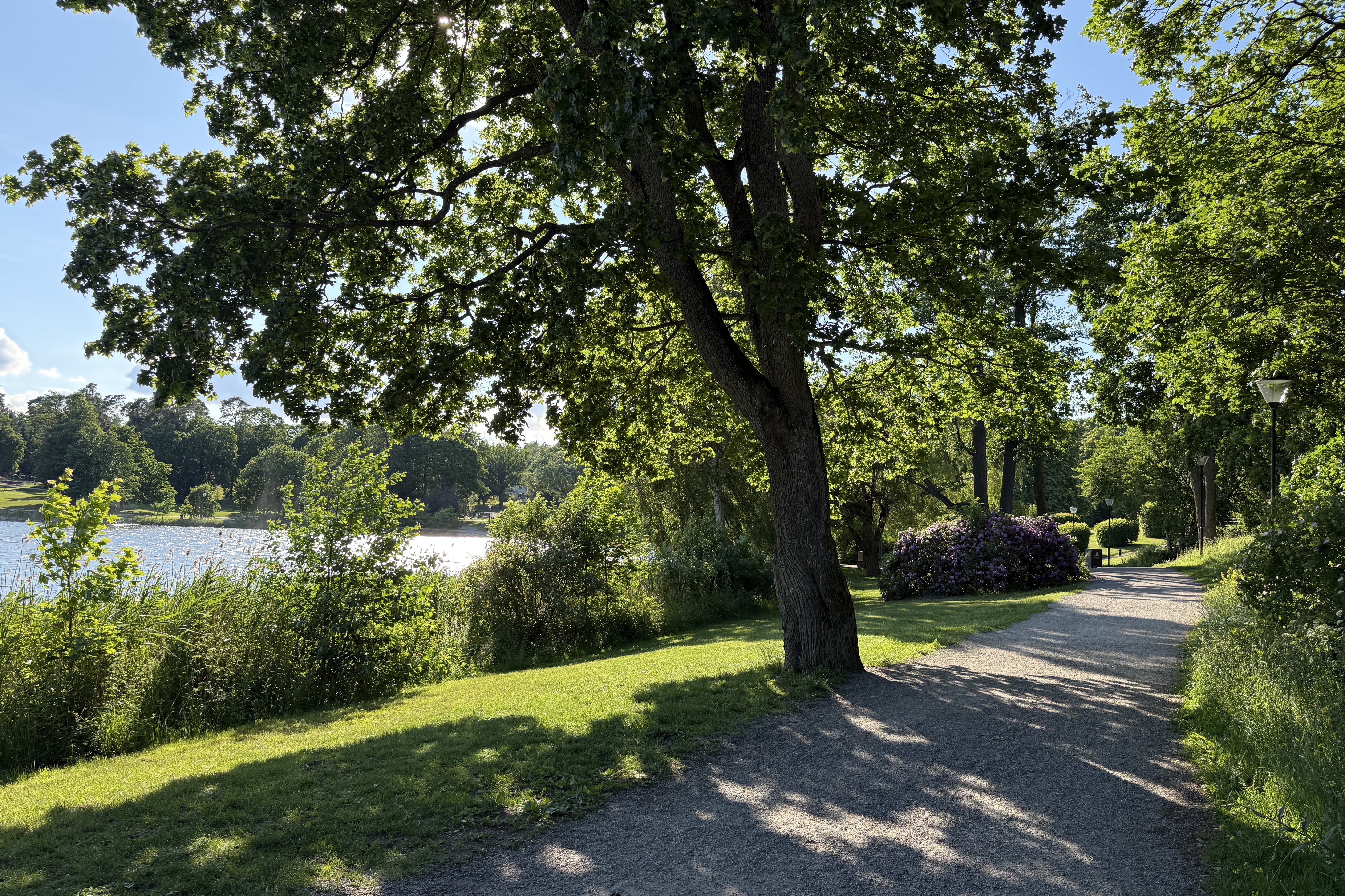  Slottsvägen 4 - 物件實景
