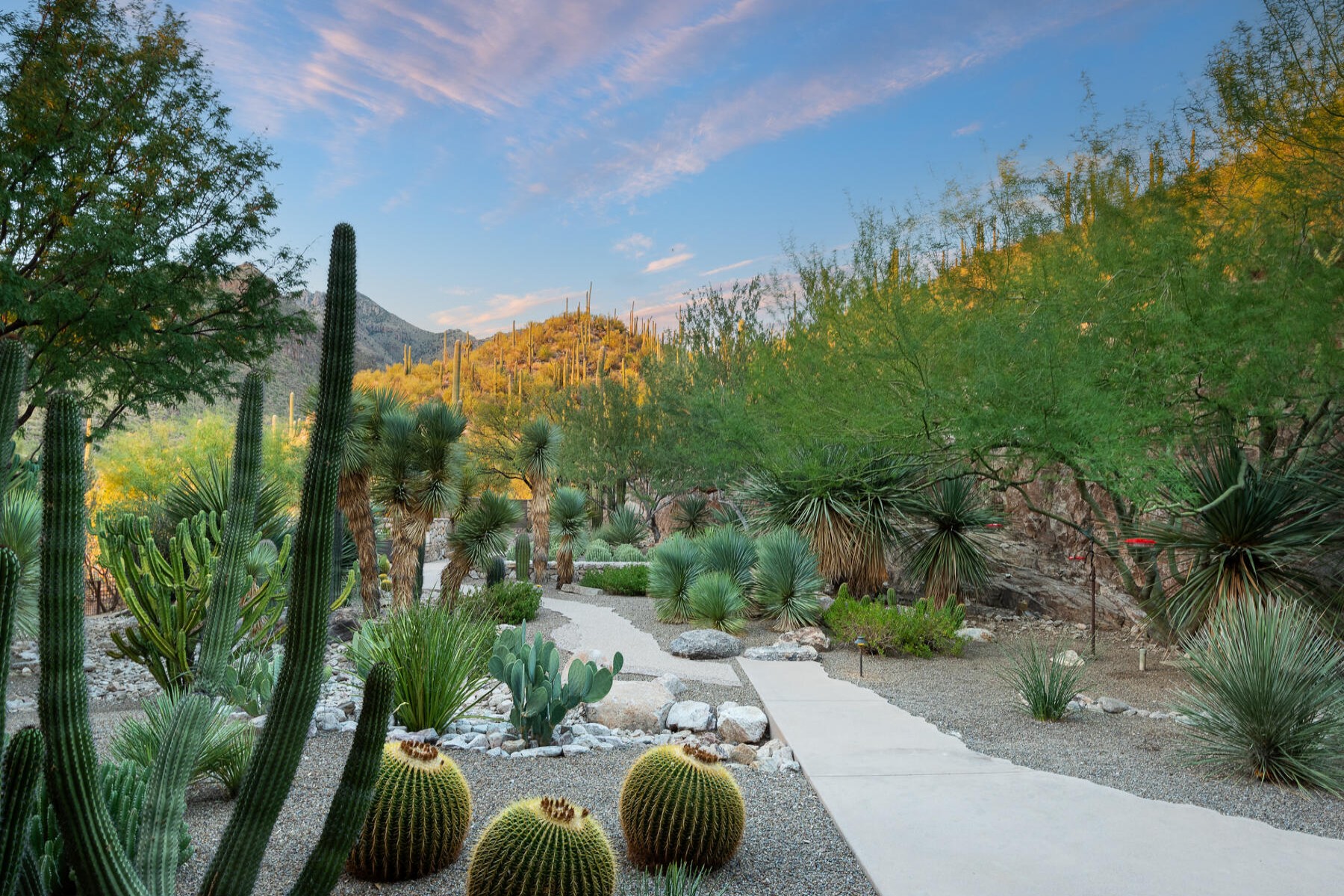  6452 N Rattlesnake Canyon Road¦Tucson, AZ - 物件實景