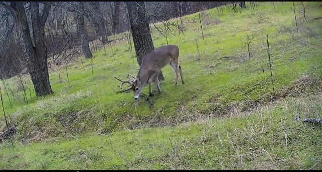 West, Texas, 76691, United States, 3 Bedrooms Bedrooms, ,2 BathroomsBathrooms,Residential,For Sale,1982487