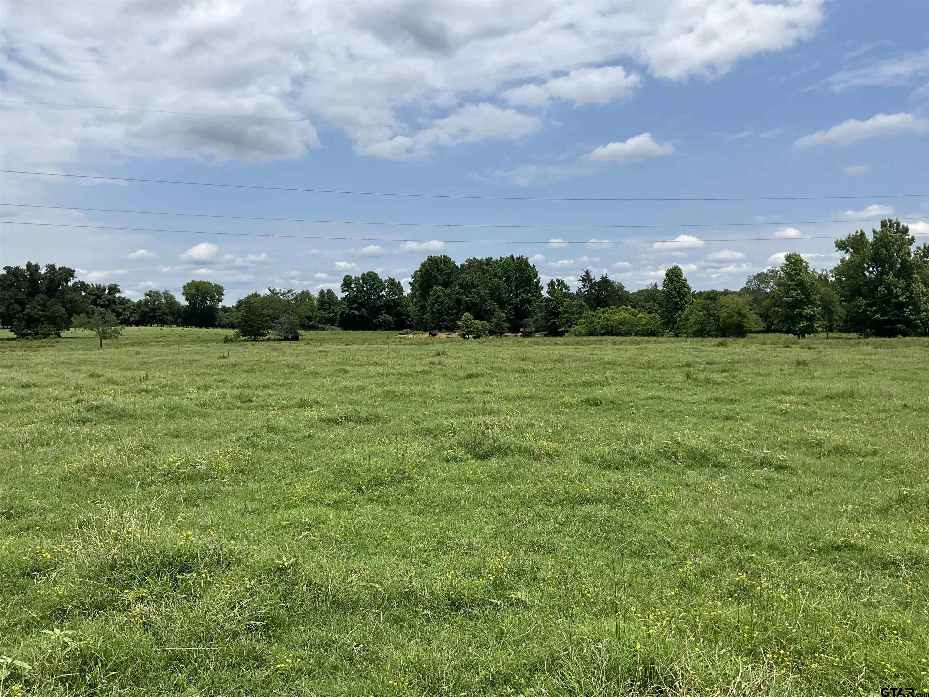 Pittsburg, Texas, 75686, United States, ,Land,For Sale,1976624