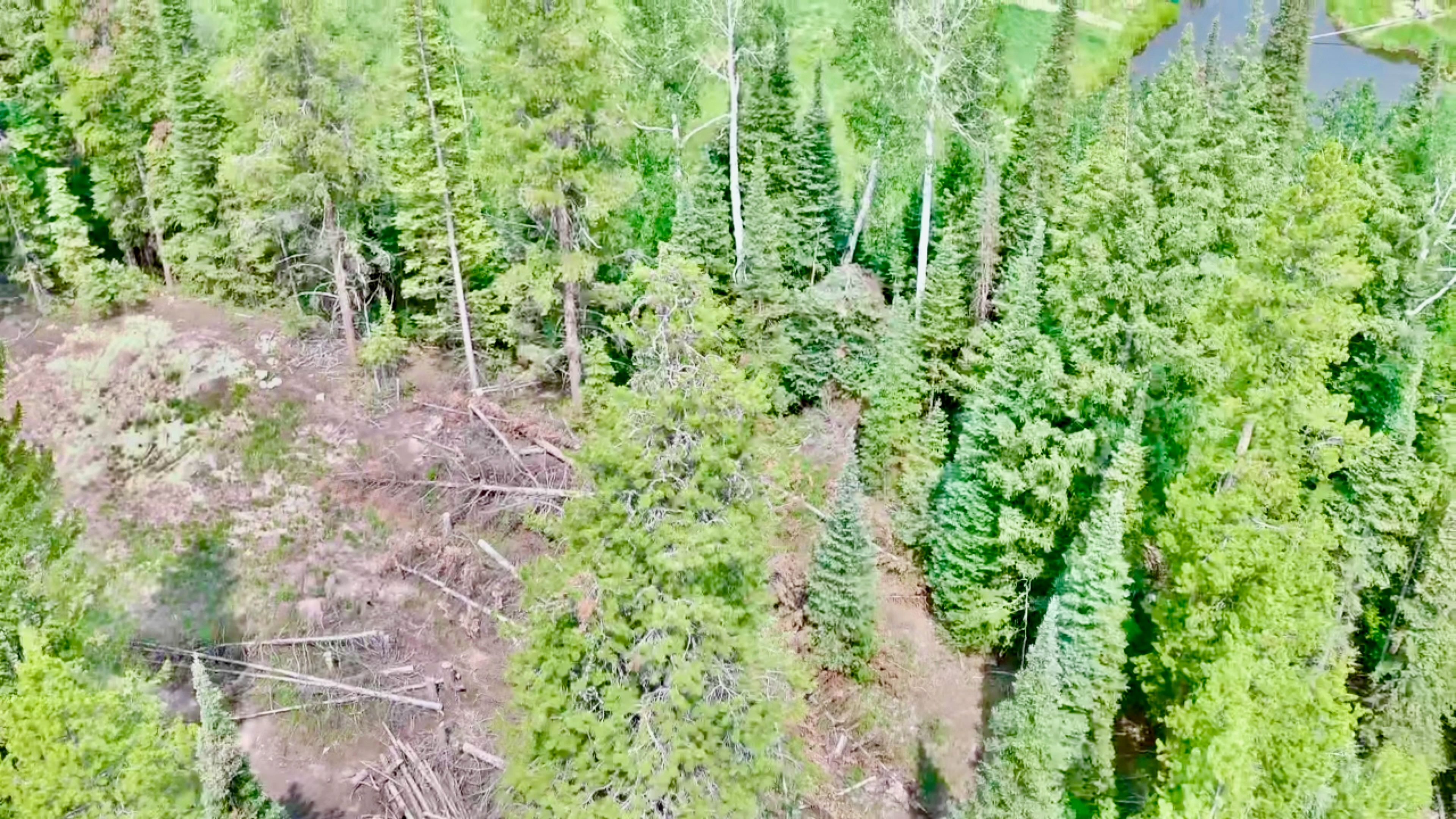  Lot 38 Colt Trail, Oak Creek, CO, 80467 - 物件實景