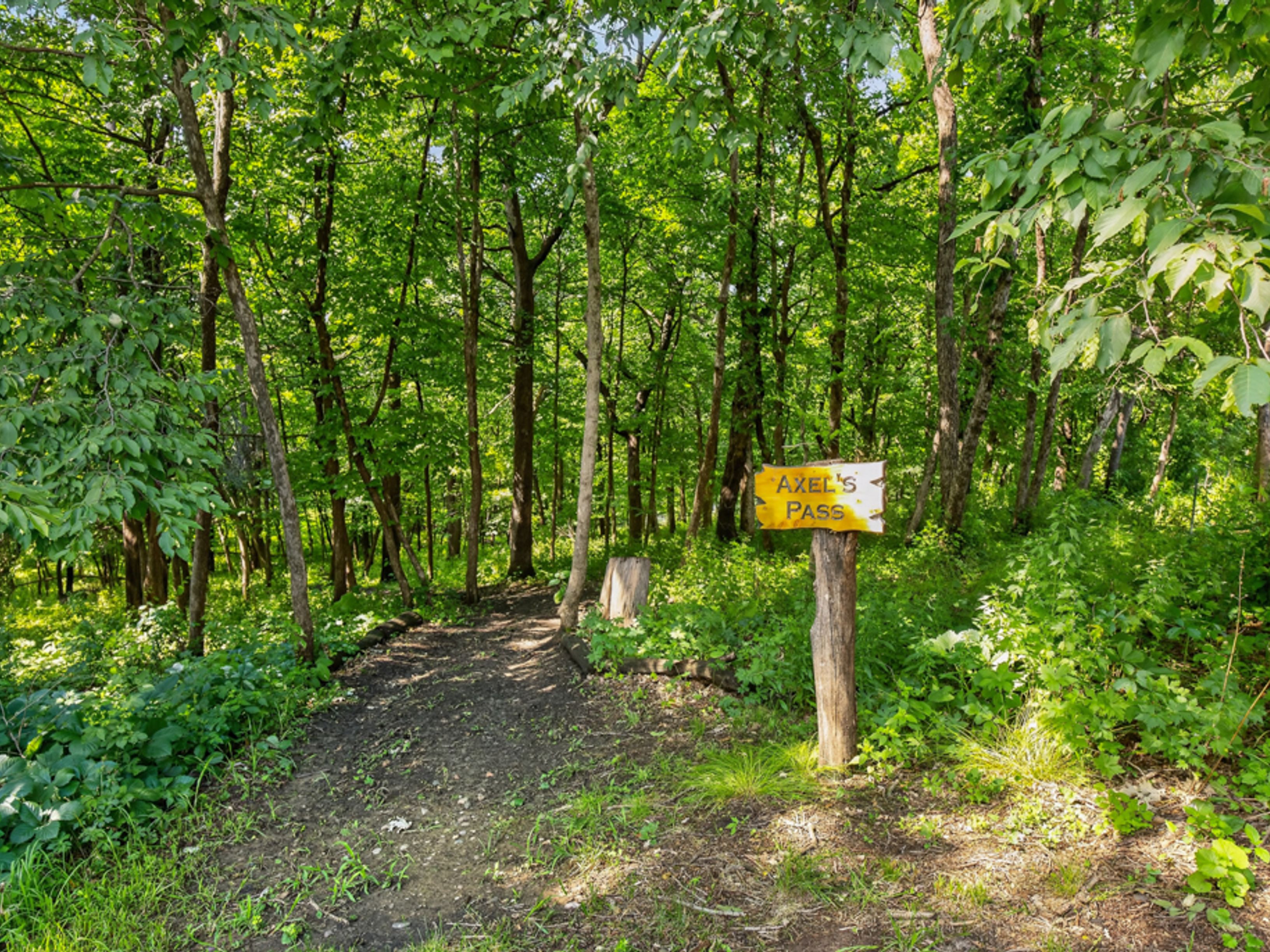  Rare Wooded Estate in Prestigious Huntington Woods - 物件實景