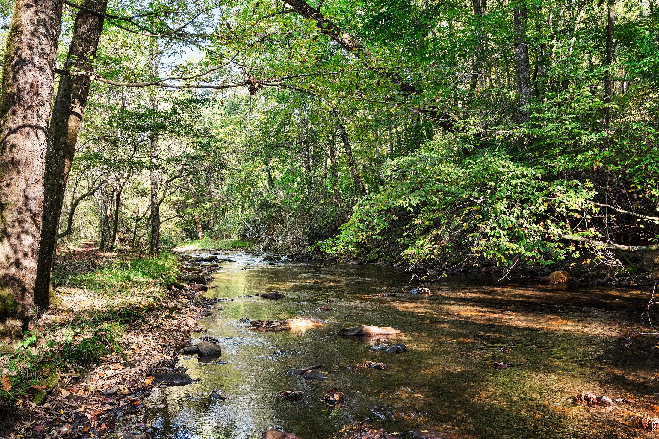 Serenity Ln, Hayesville, NC 28904 #1