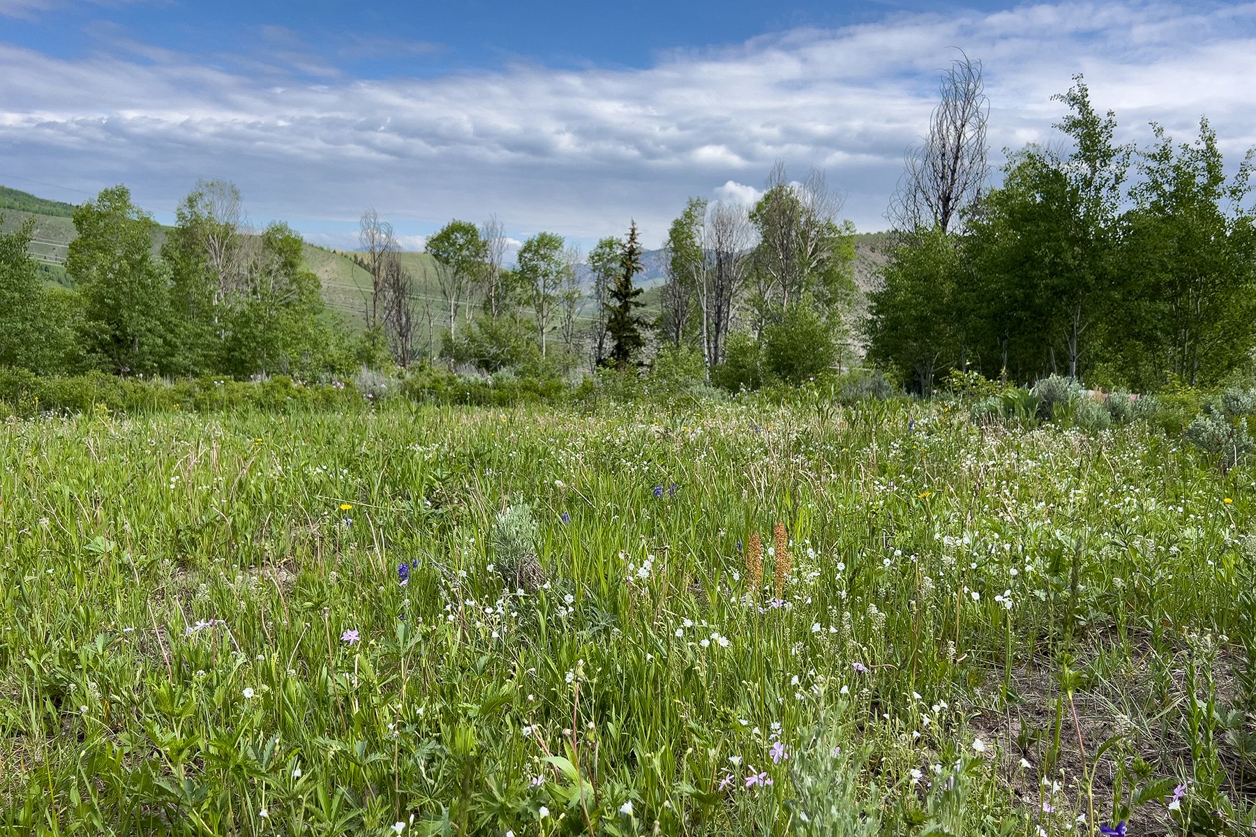  Rodeo Road - 物件實景