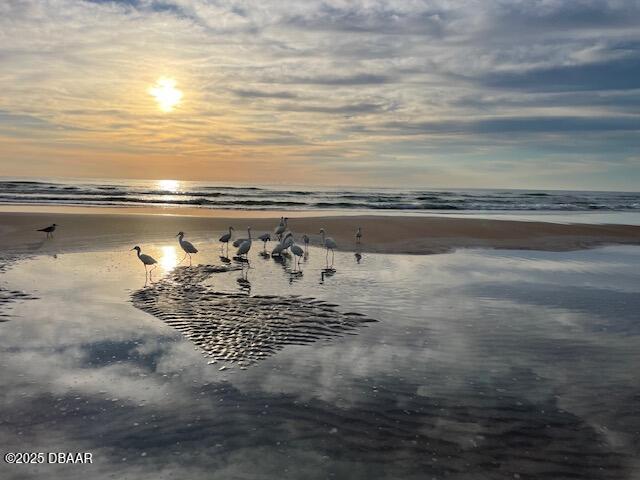 Daytona Beach Shores, Florida, 32118, United States, 2 Bedrooms Bedrooms, ,2 BathroomsBathrooms,Residential,For Sale,1993266