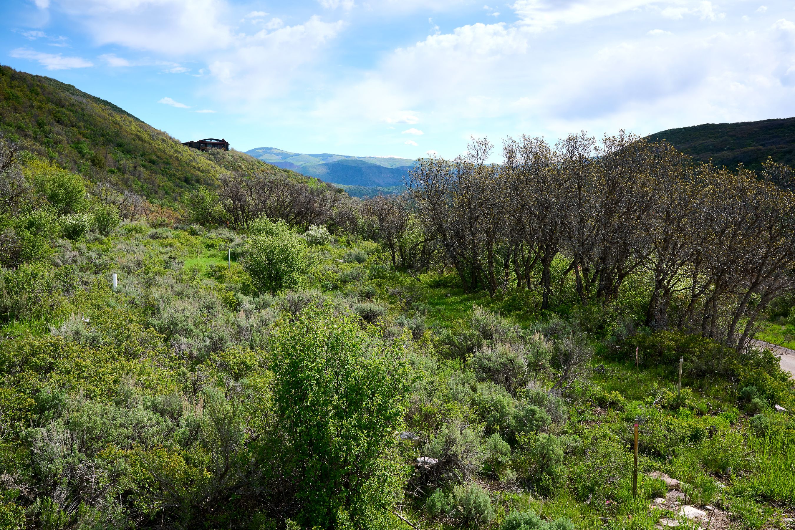  51 Shield O Road, Snowmass, CO, 81654 - 物件實景