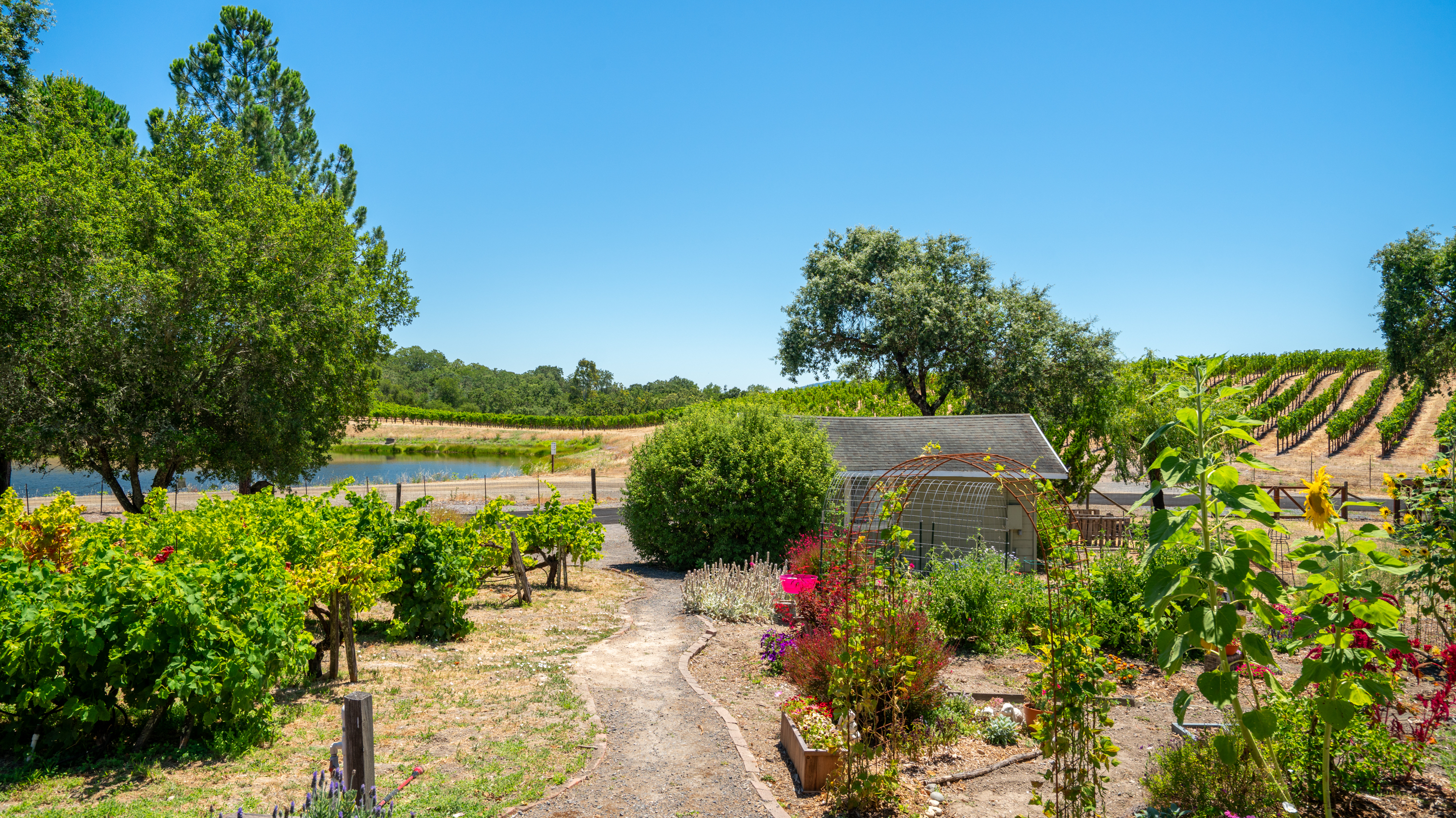  Sonoma Country Lifestyle - 物件實景