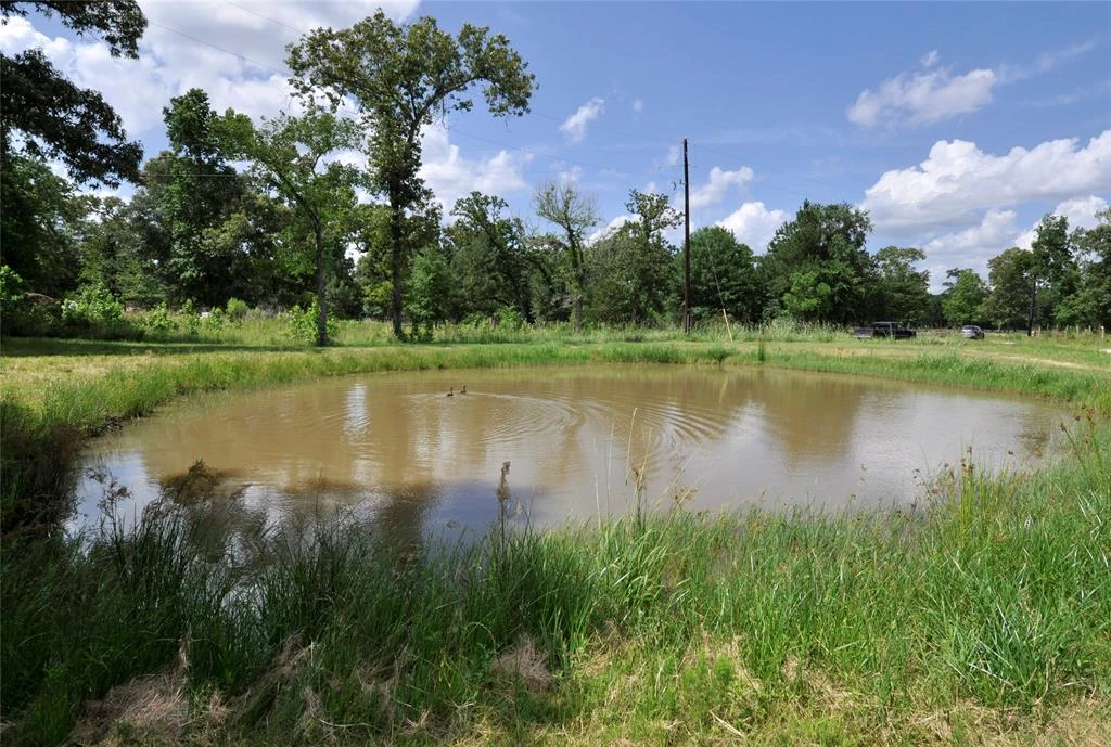 26150 Grand Pines Road, Magnolia, Texas, 77355, United States, ,Land,For Sale,26150 Grand Pines Road,1609479