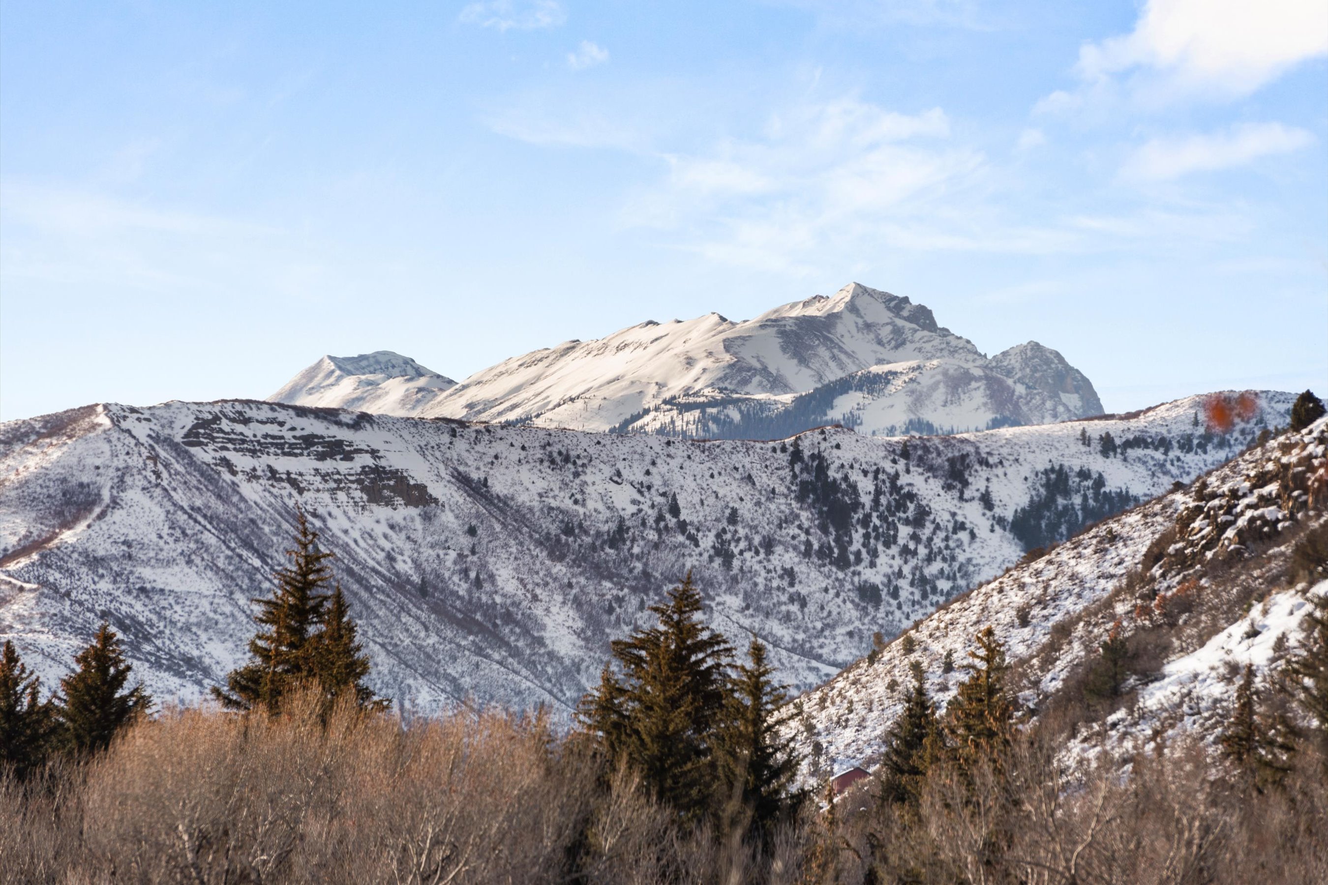  Timeless Log Home on 12+ Acres in Snowmass  Sweeping Mountain Views - 物件實景