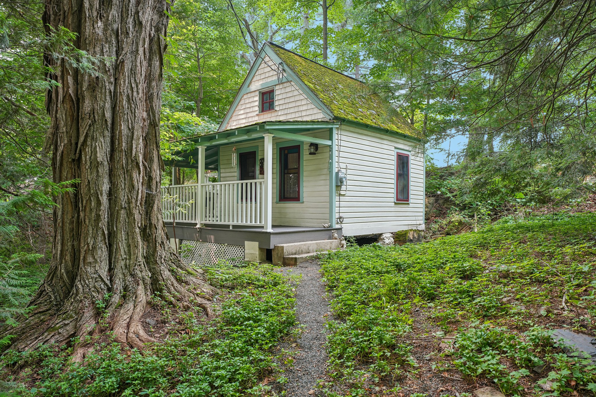  55 Raccoon Island Road, Jefferson, NJ 07849 - 物件實景