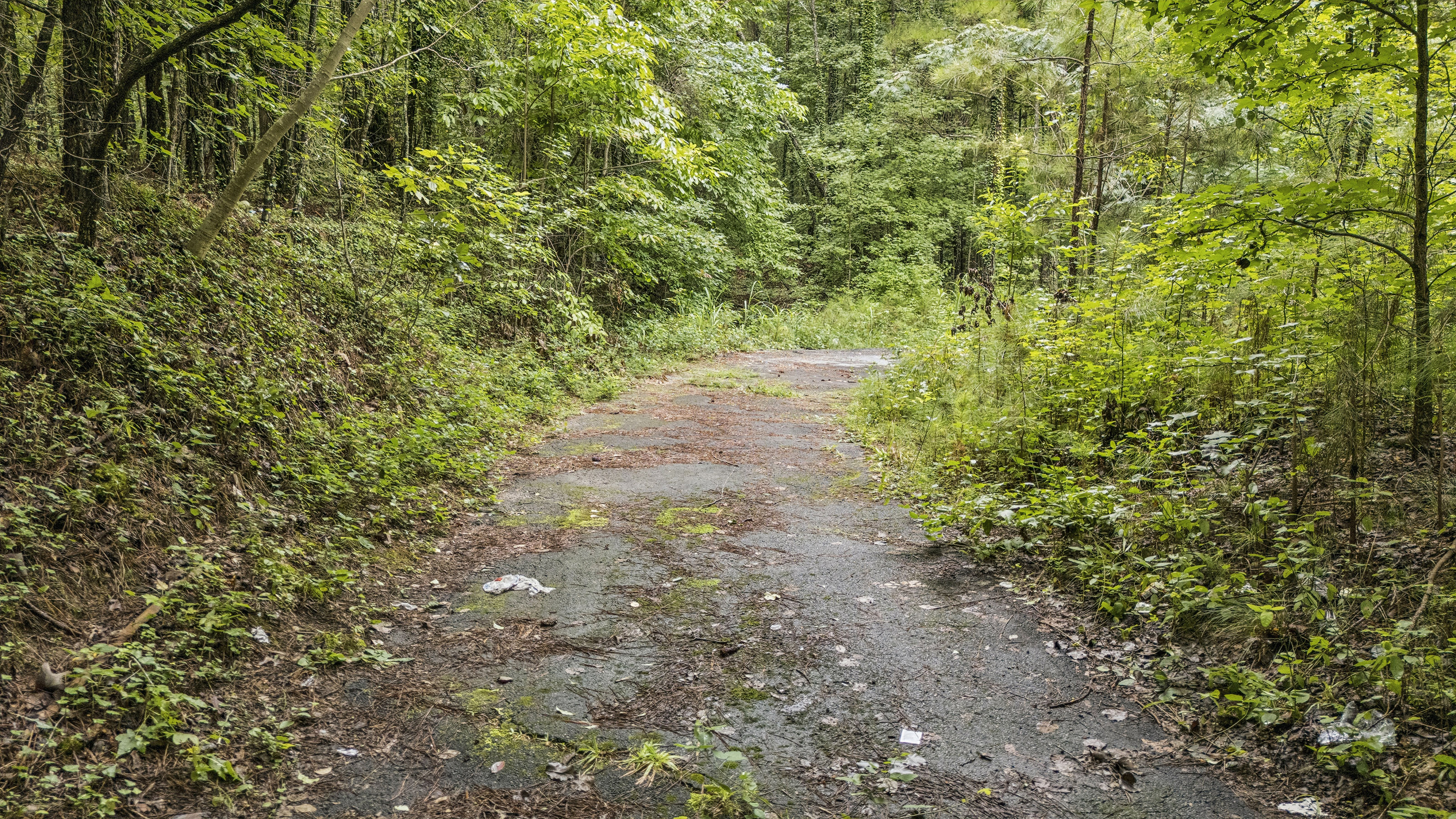  Incredible Development Opportunity on Over Ten Acres on Prime Stockbridge Site - 物件實景