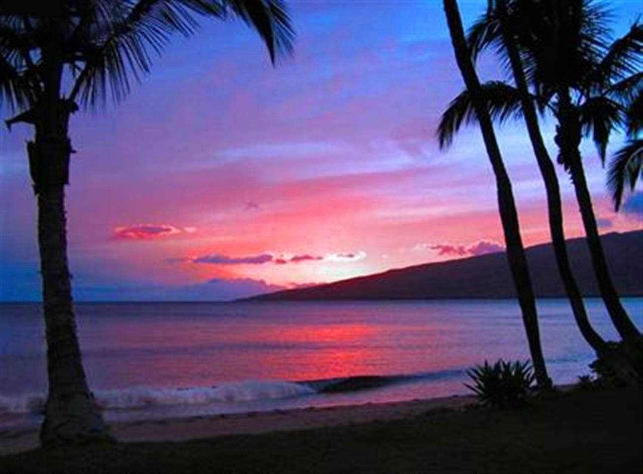 Kihei, Hawaii, 96753, United States, 1 Bedroom Bedrooms, ,1 BathroomBathrooms,Residential,For Sale,1907186