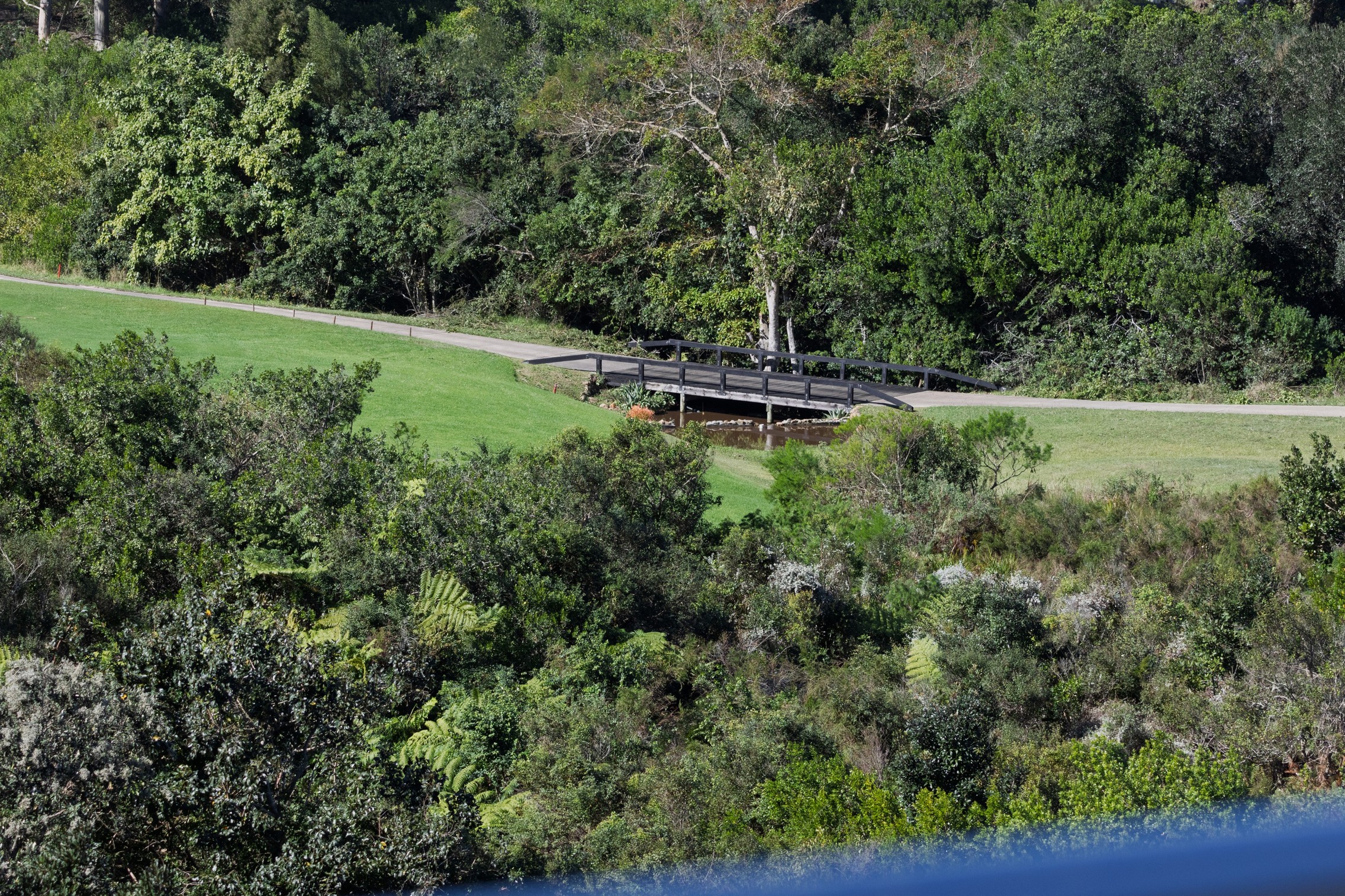  33 Dunnage Drive, Pezula Golf Estate - 物件實景