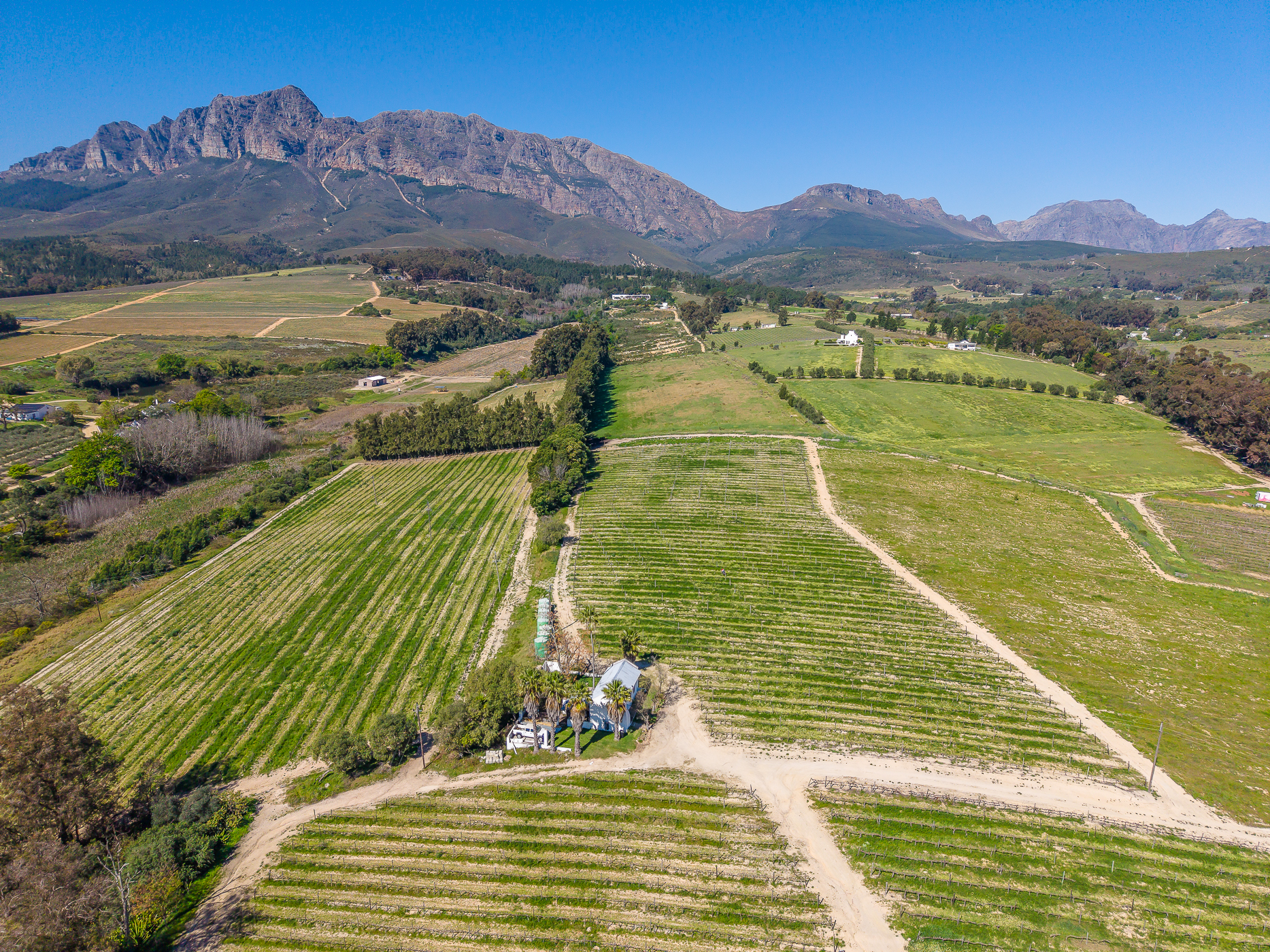  Boutique Lifestyle Farm & Winery - 物件實景