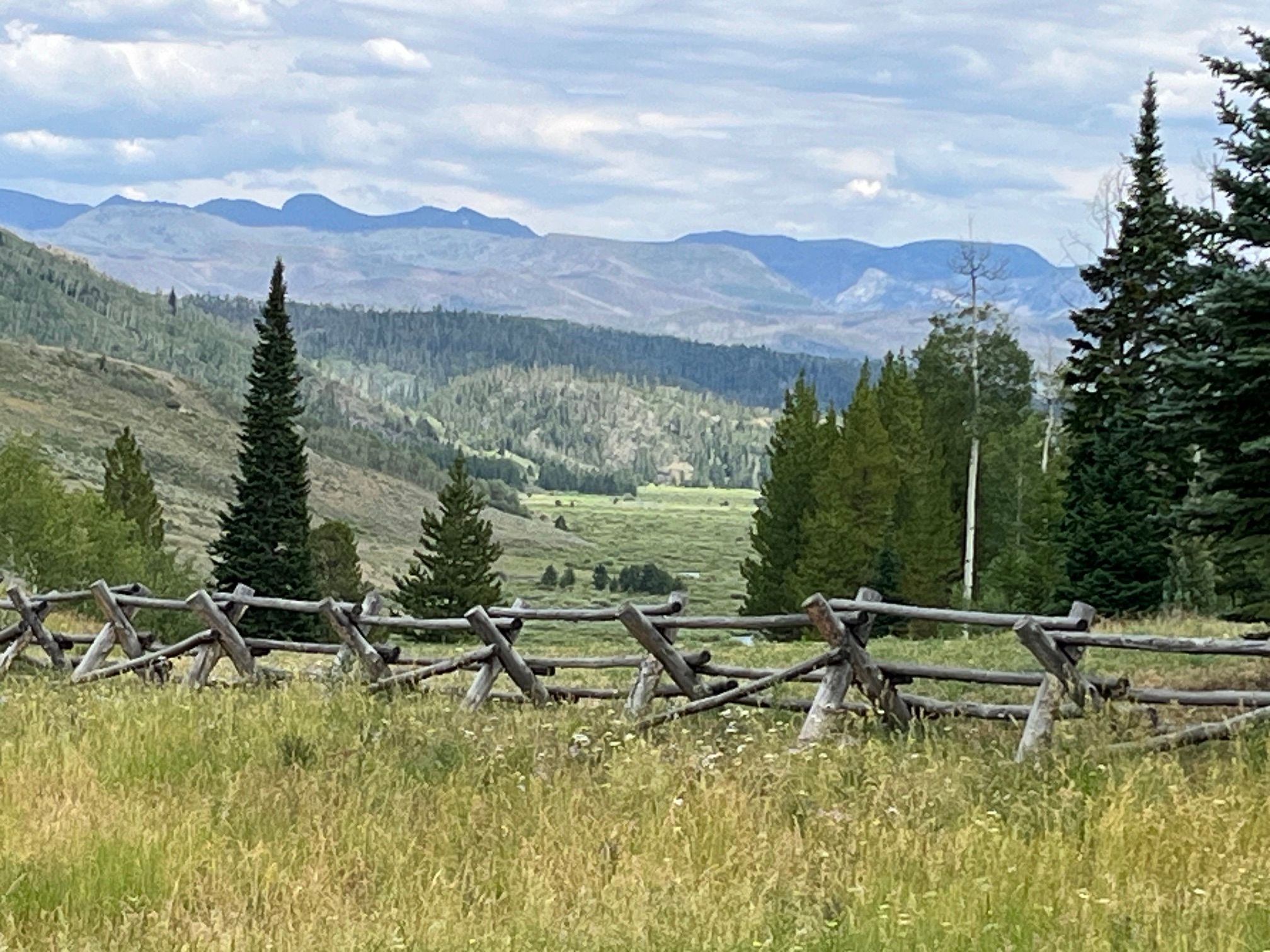  59205 Button Willow Drive, Clark, CO, 80428 - 物件實景
