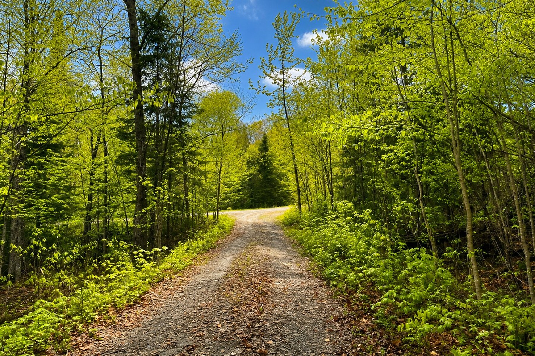  Lac-des-Plages, Outaouais - 物件實景