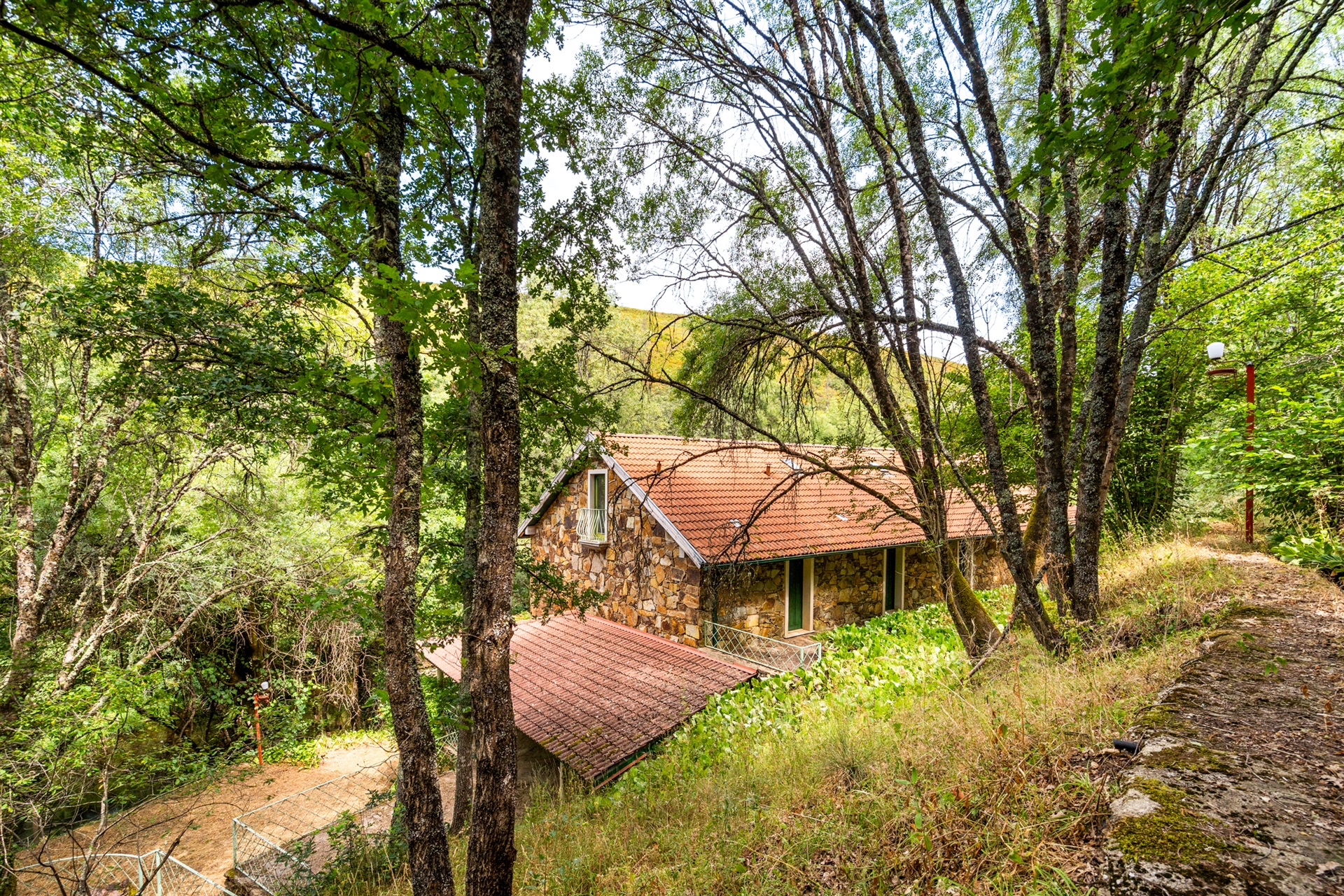 Farm, 5 bedrooms, for Sale - 物件實景