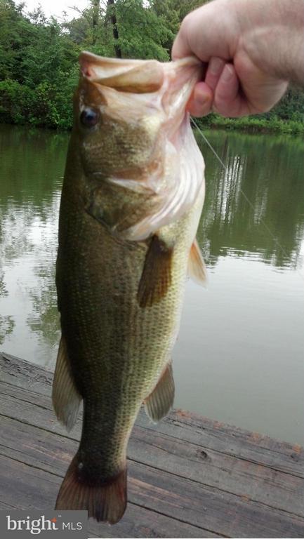 Port Royal, Virginia, 22535, United States, 5 Bedrooms Bedrooms, ,4 BathroomsBathrooms,Residential,For Sale,1959424