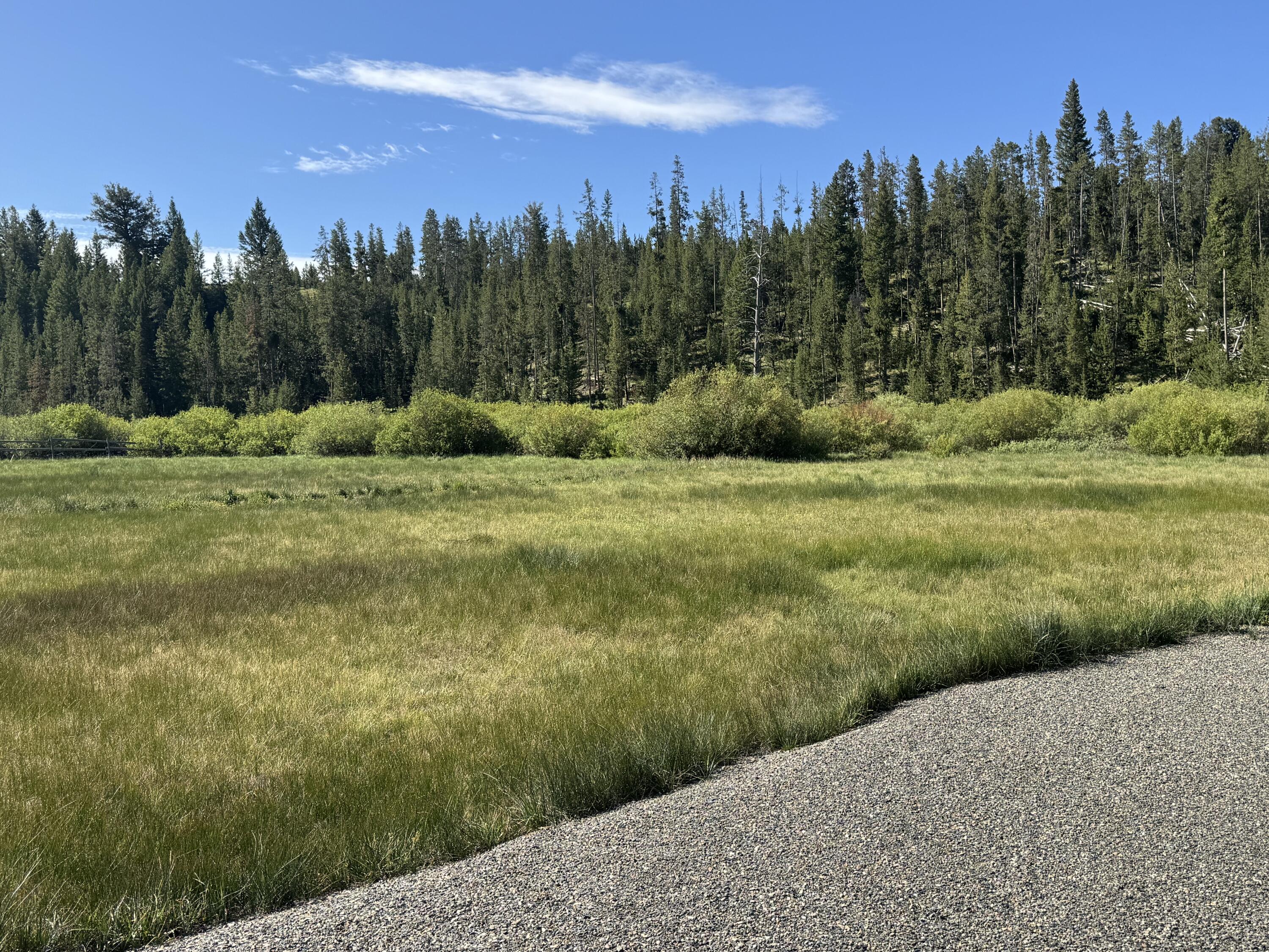 Stanley, Idaho, 83278, United States, ,Land,For Sale,1901484