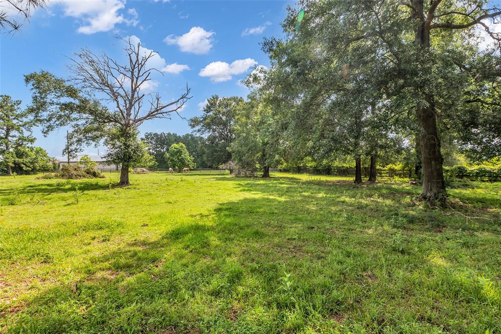 Magnolia, Texas, 77355, United States, 5 Bedrooms Bedrooms, ,5 BathroomsBathrooms,Residential,For Sale,1875805