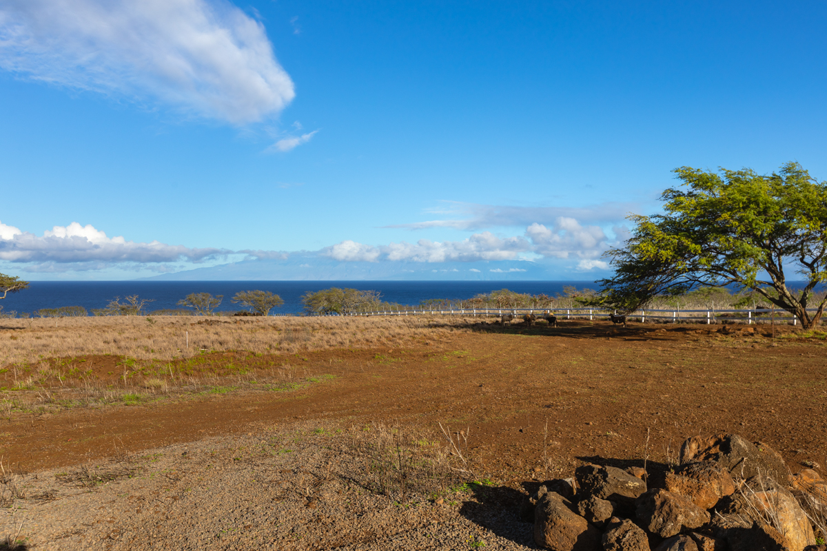 Hawi, Hawaii, 96719, United States, ,Land,For Sale,1997291