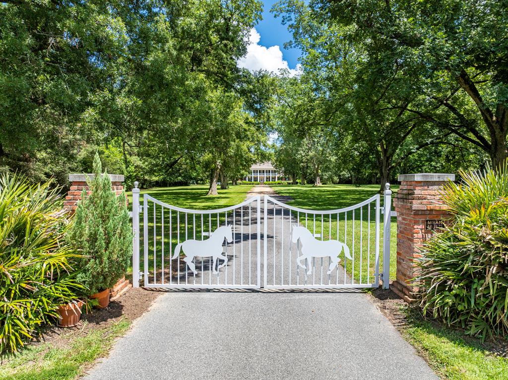 Leslie, Georgia, 31764, United States, 5 Bedrooms Bedrooms, ,4 BathroomsBathrooms,Residential,For Sale,1944897