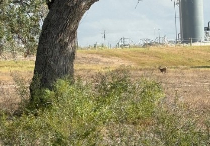 Runge, Texas, 78151, United States, 3 Bedrooms Bedrooms, ,2 BathroomsBathrooms,Residential,For Sale,1996621