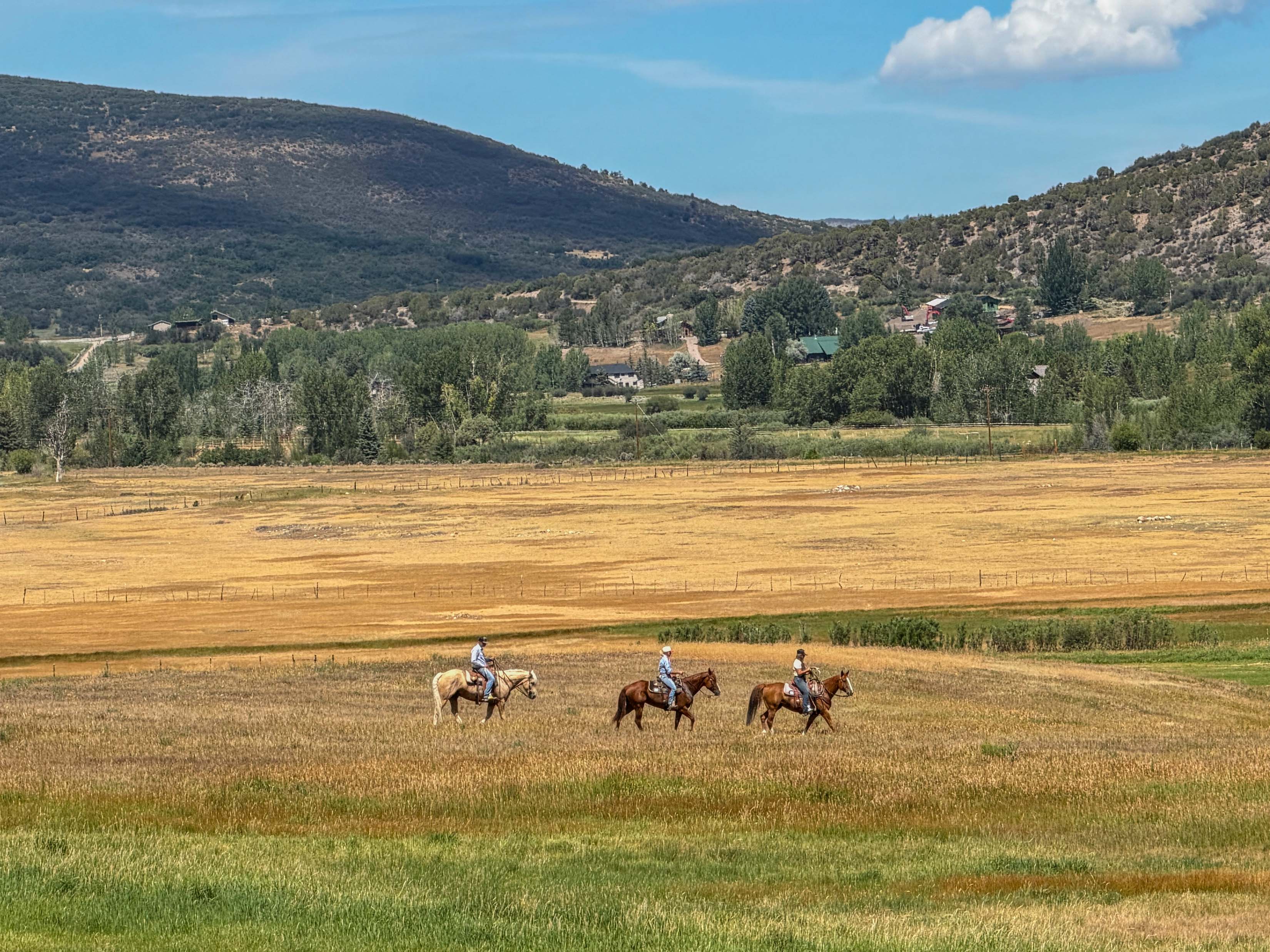  A Beautifully Reimagined Lazy O Ranch Estate with Unparalleled Mt. Sopris Views - 物件實景