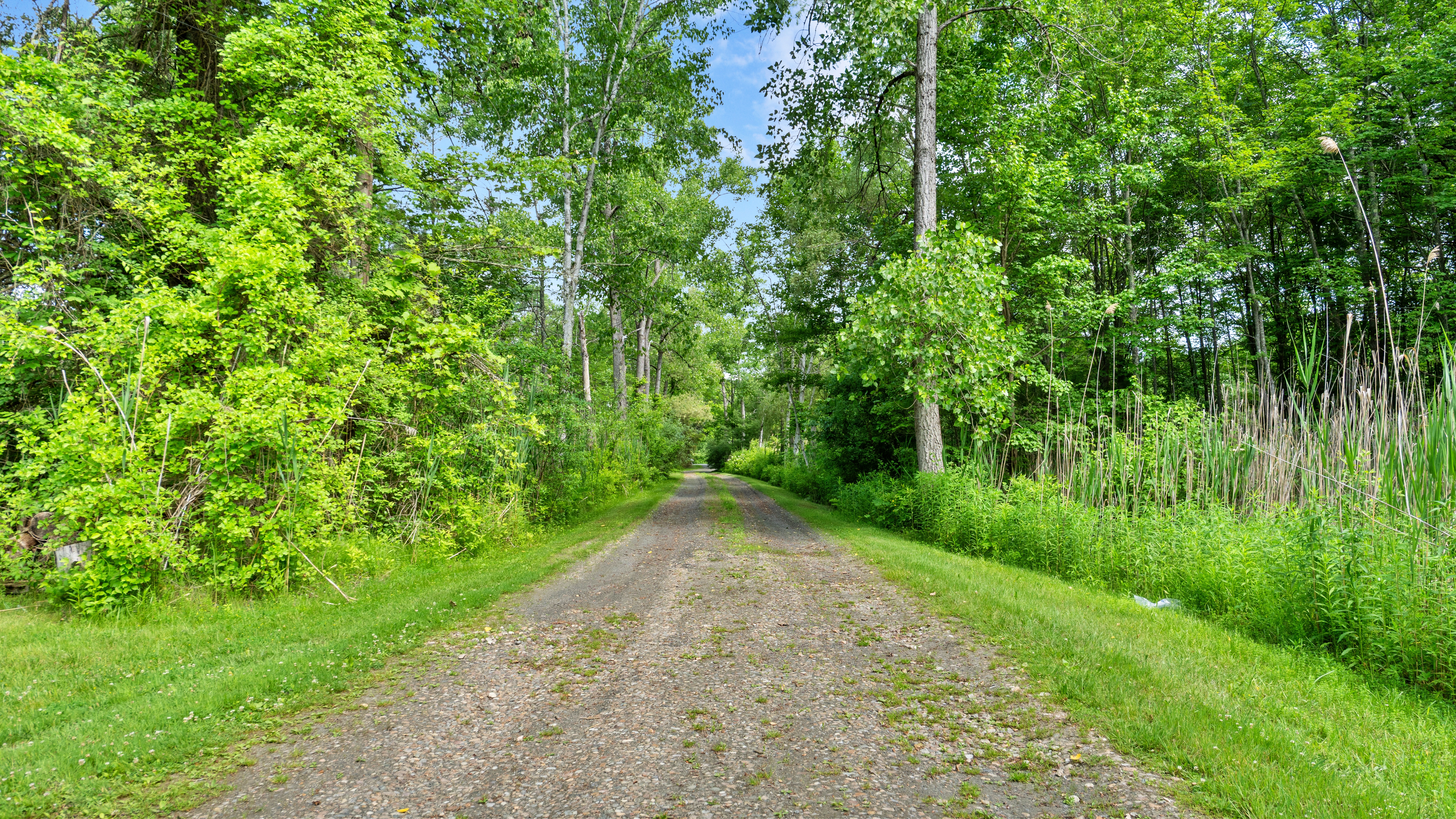  The Ultimate Four-Season Berkshire Retreat - 物件實景