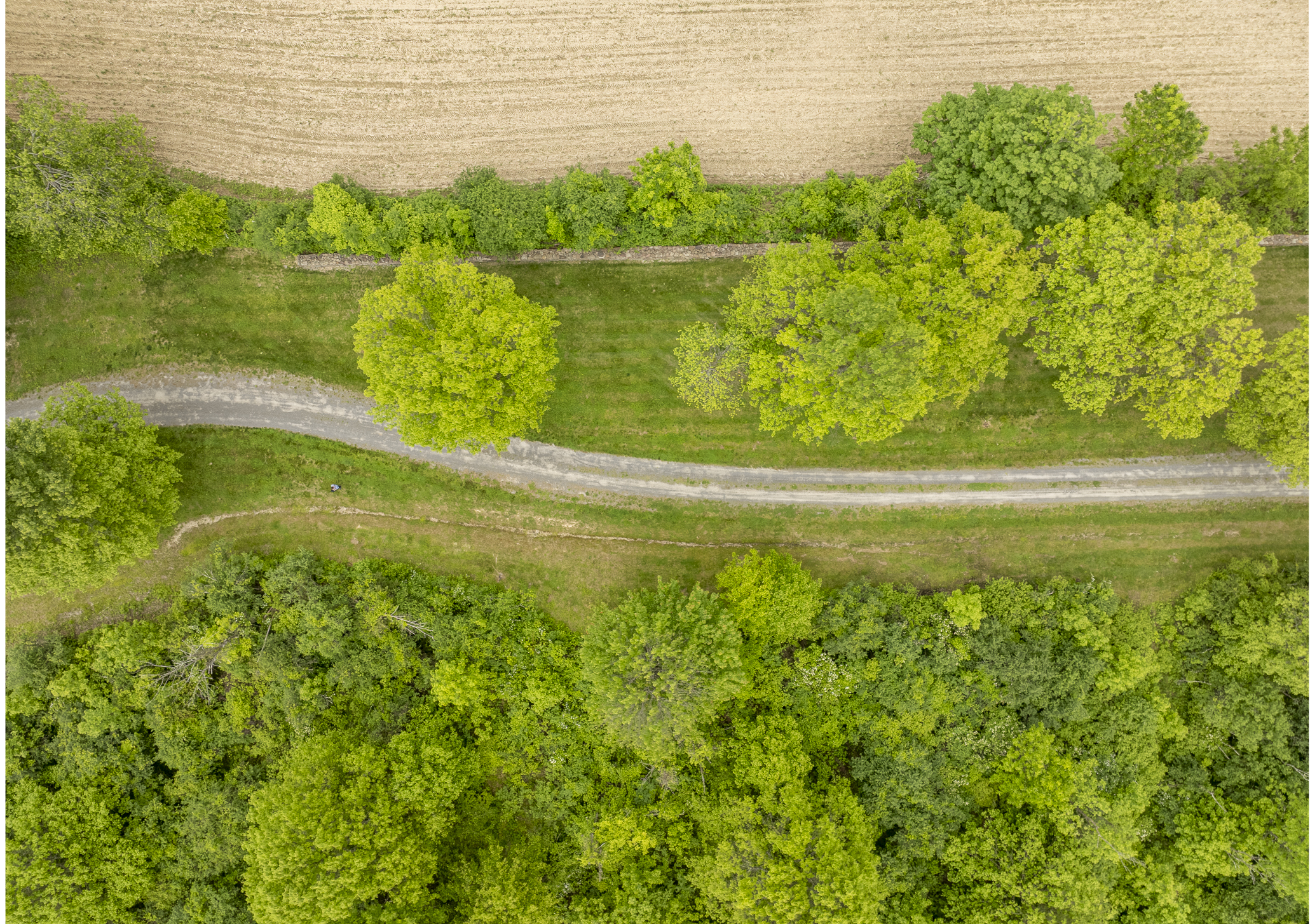  Extraordinary 34.5-Acre Hudson Valley Estate Site Near Rhinebeck - 物件實景