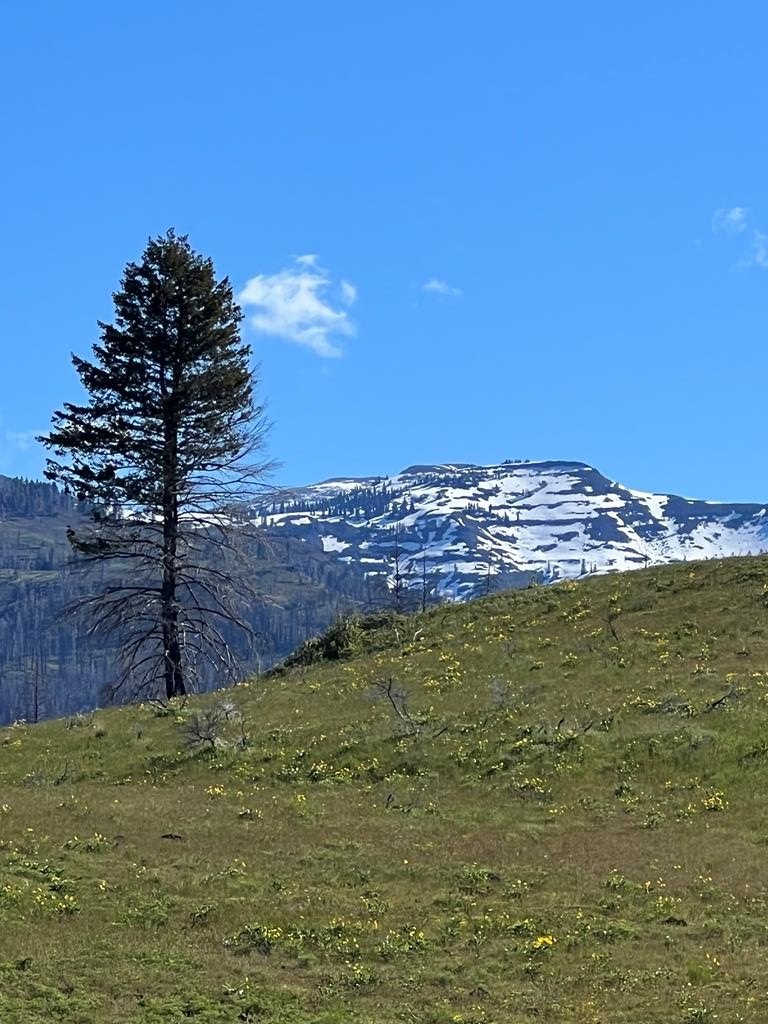 Council, Idaho, 83612, United States, ,Residential,For Sale,1935833