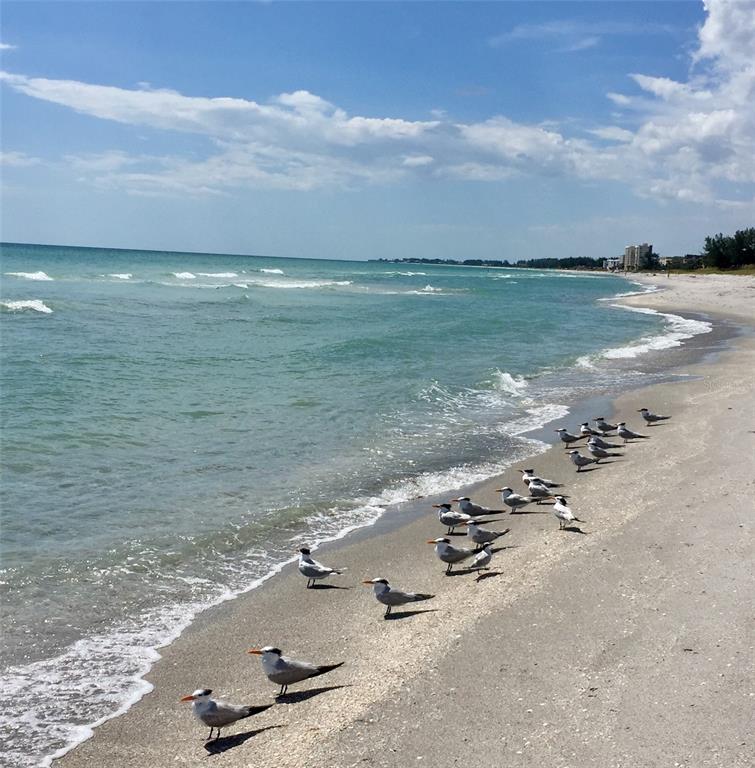 Sarasota, Florida, 34231, United States, 3 Bedrooms Bedrooms, ,2 BathroomsBathrooms,Residential,For Sale,1883466