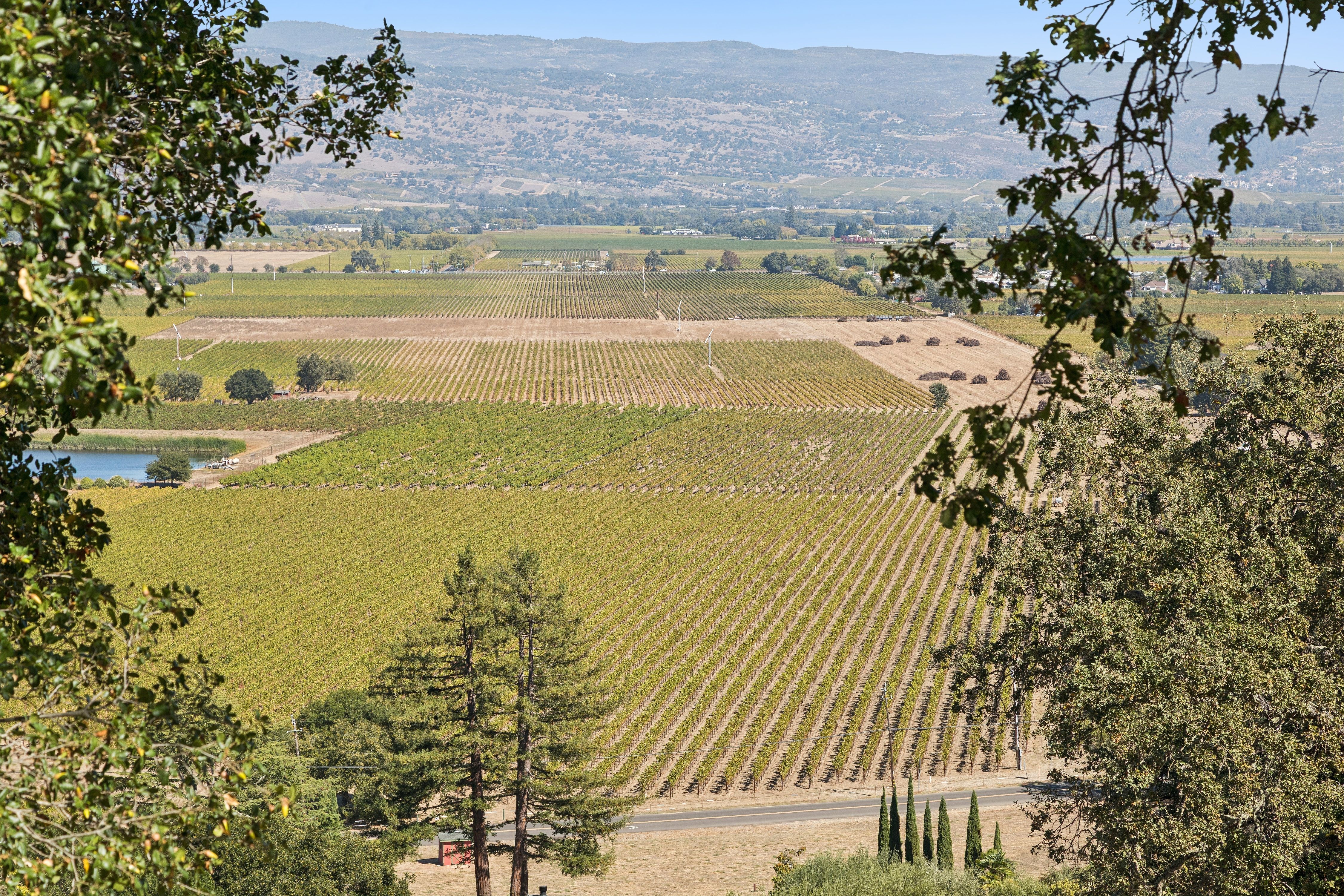  Exceptional Napa Valley Legacy Property - 物件實景