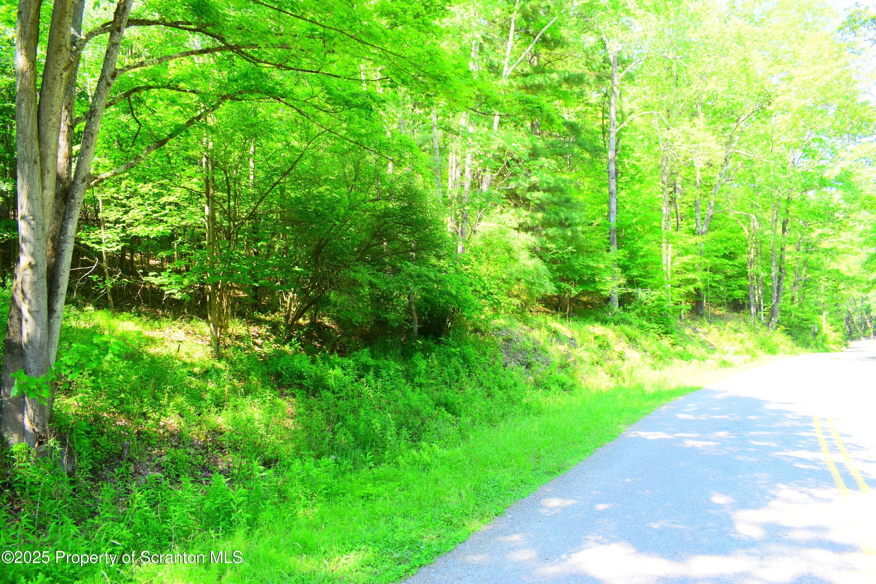 State Route 92, Susquehanna, Pennsylvania, 18847, United States, ,Land,For Sale,State Route 92,1665959