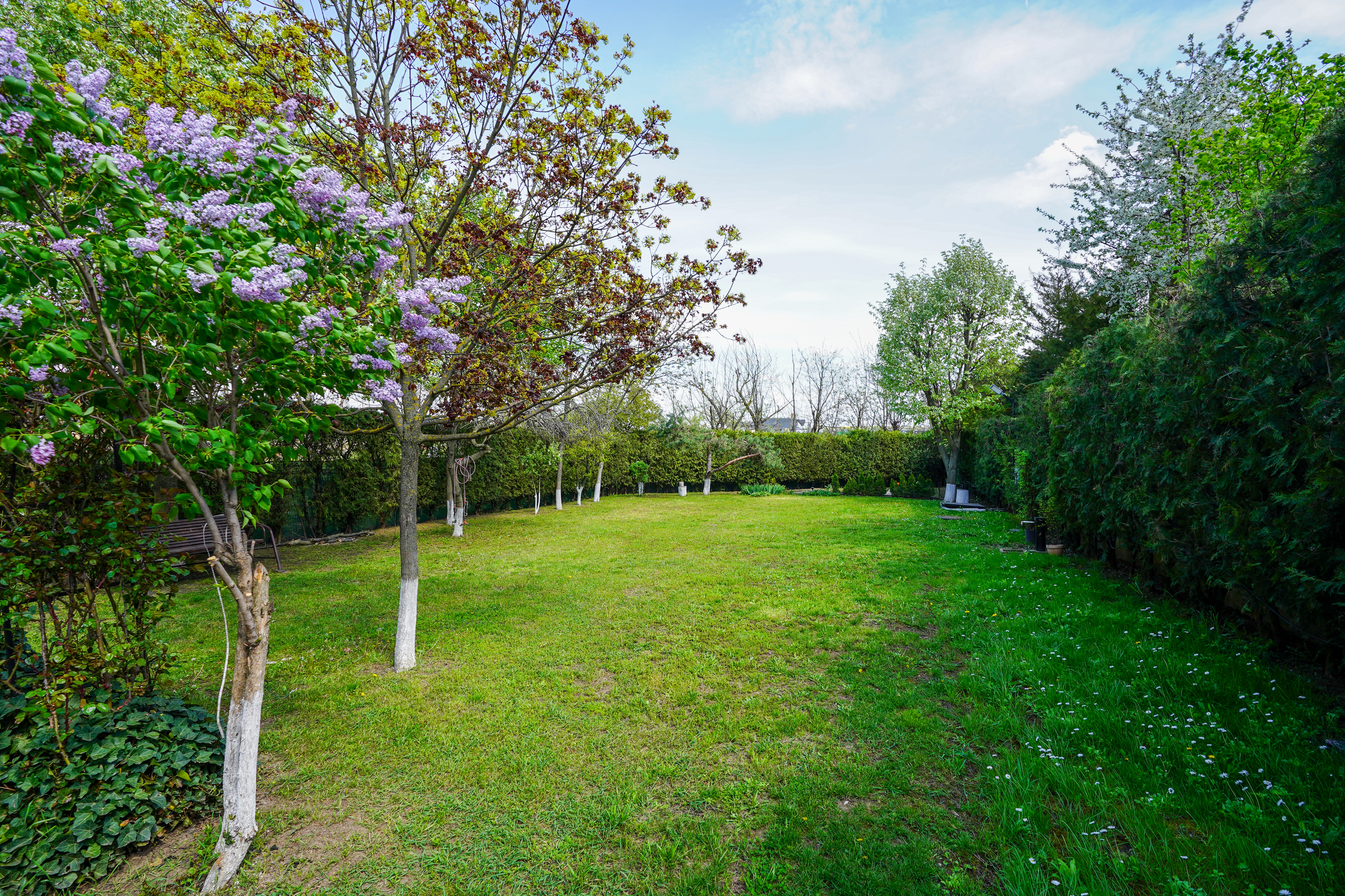  Luxury Villa in a Prime Educational Hub, Pipera - 物件實景