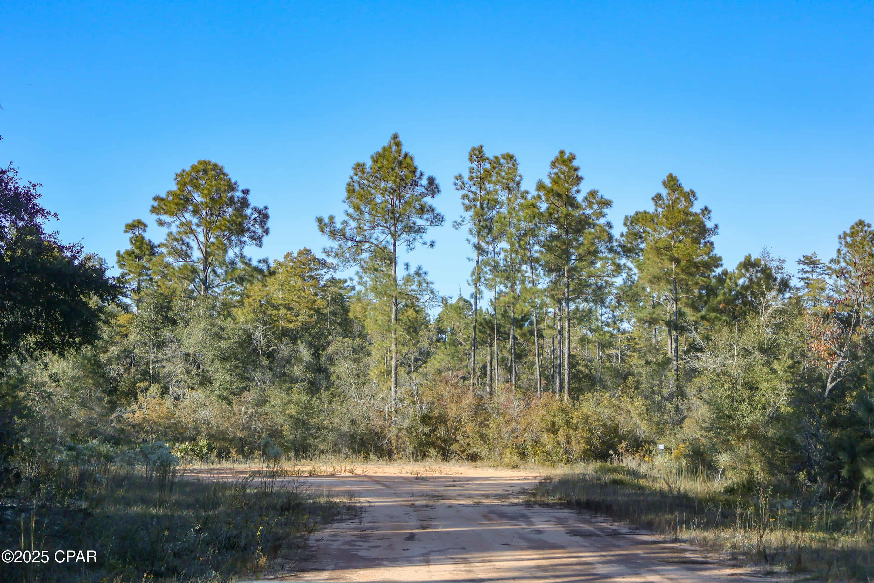 Alford, Florida, 32420, United States, ,Land,For Sale,1994582