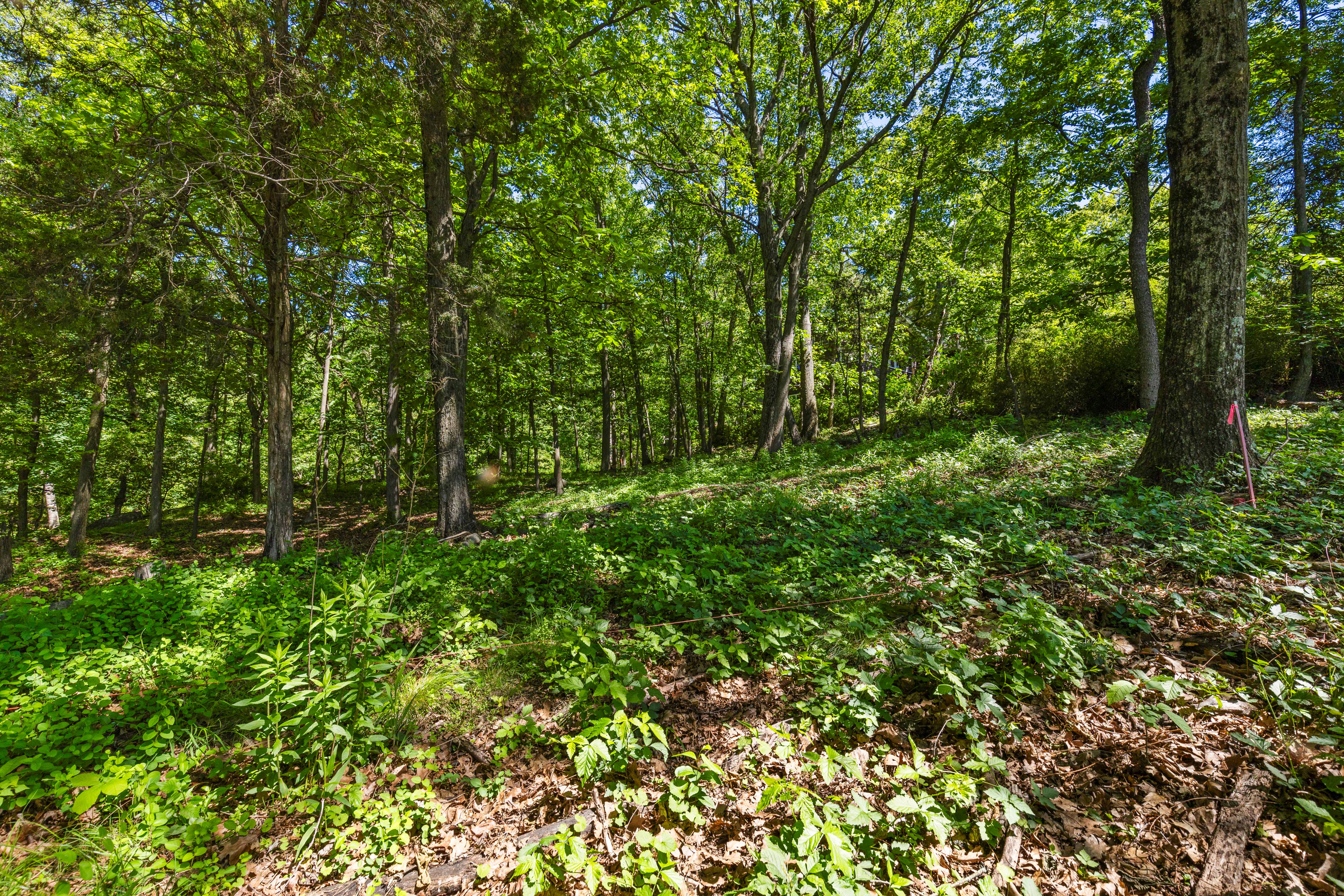  8 Prickly Pear Hill Road - 物件實景