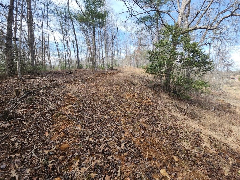 Murphy, North Carolina, 28906, United States, ,Residential,For Sale,1864976