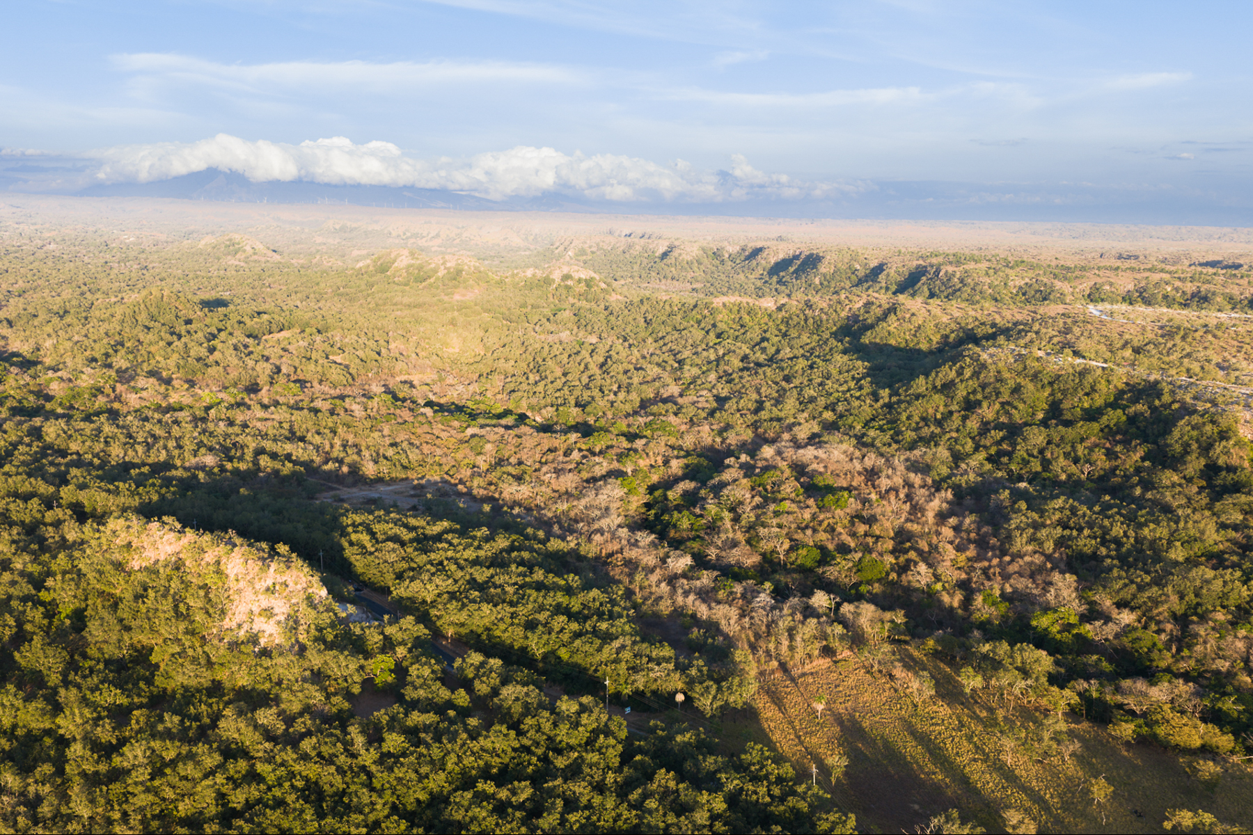  Curubande River Forest Treasure - 物件實景