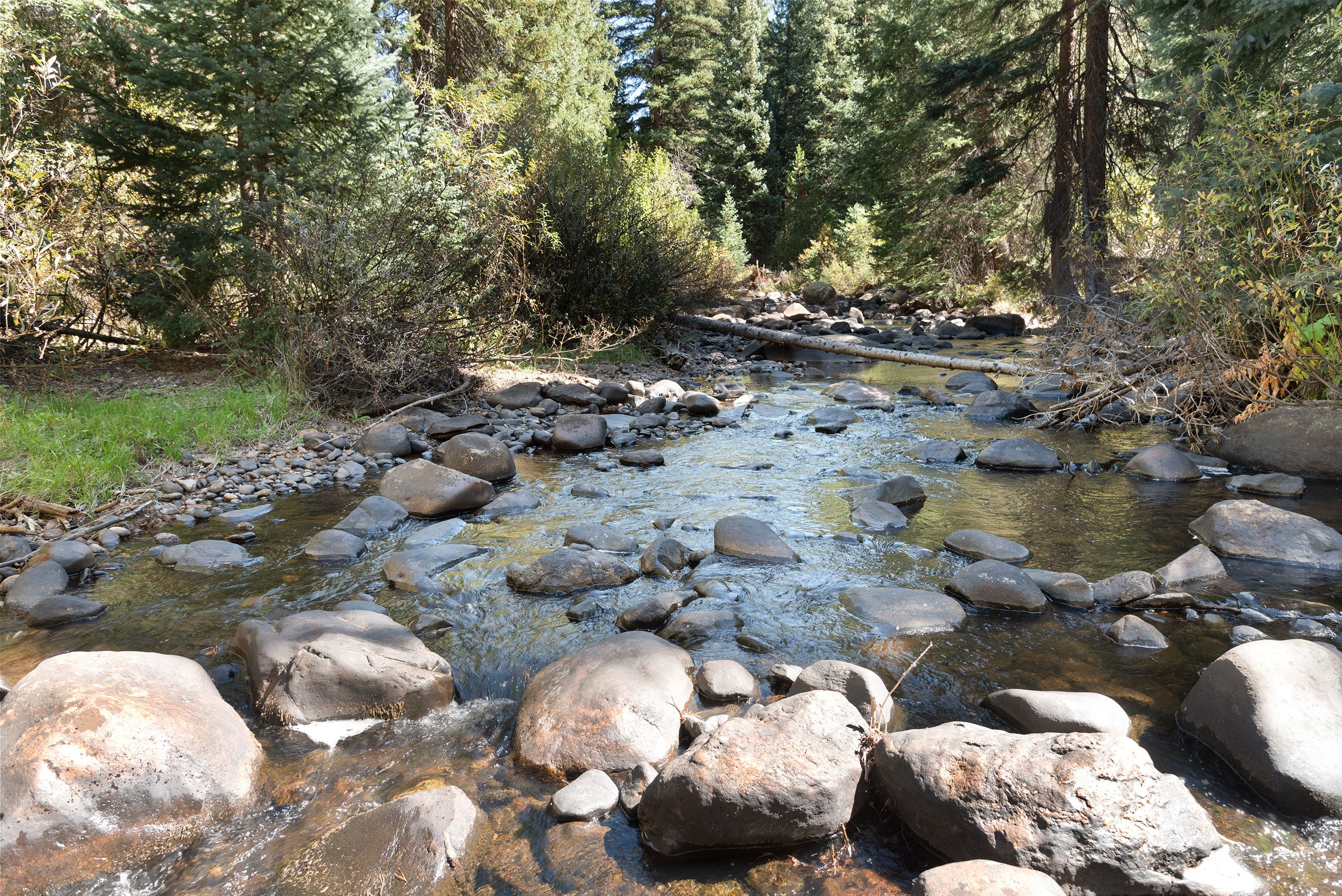  2450 North Fork Road, Meredith, CO, 81642 - 物件實景
