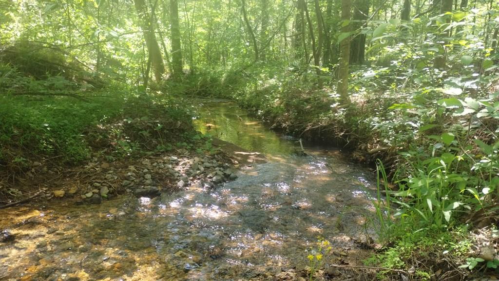 Ranger, Georgia, 30734, United States, ,Residential,For Sale,1924900