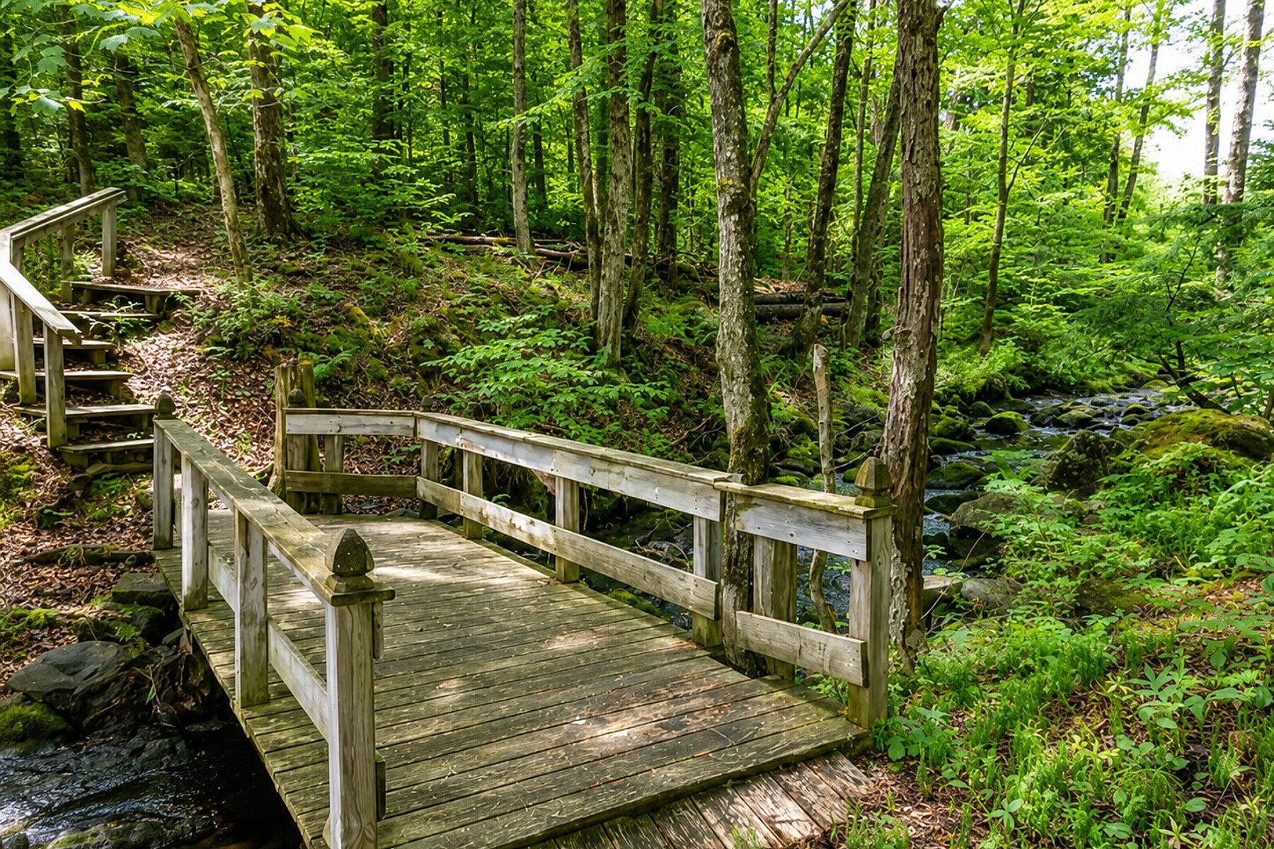  Gore, Laurentides - 物件實景