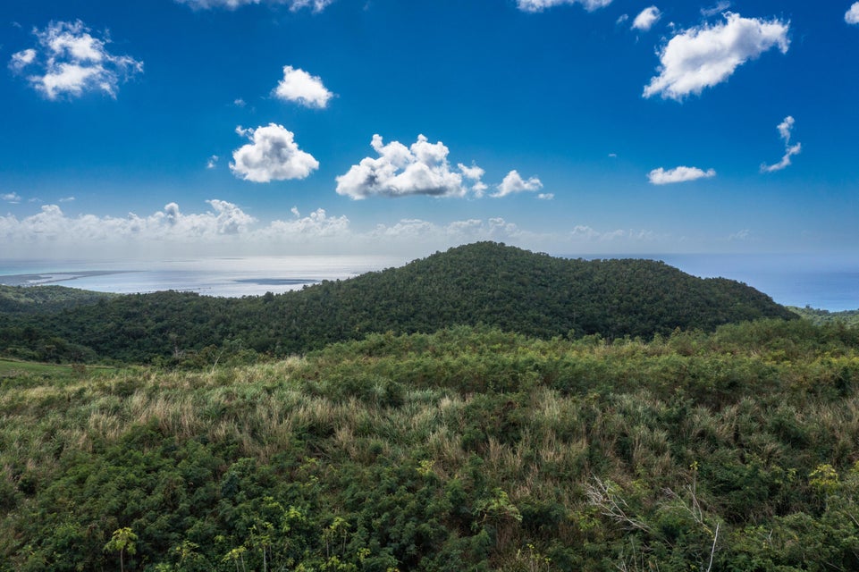 St. Croix, Virgin Islands, 00840, VI, ,Land,For Sale,1792958